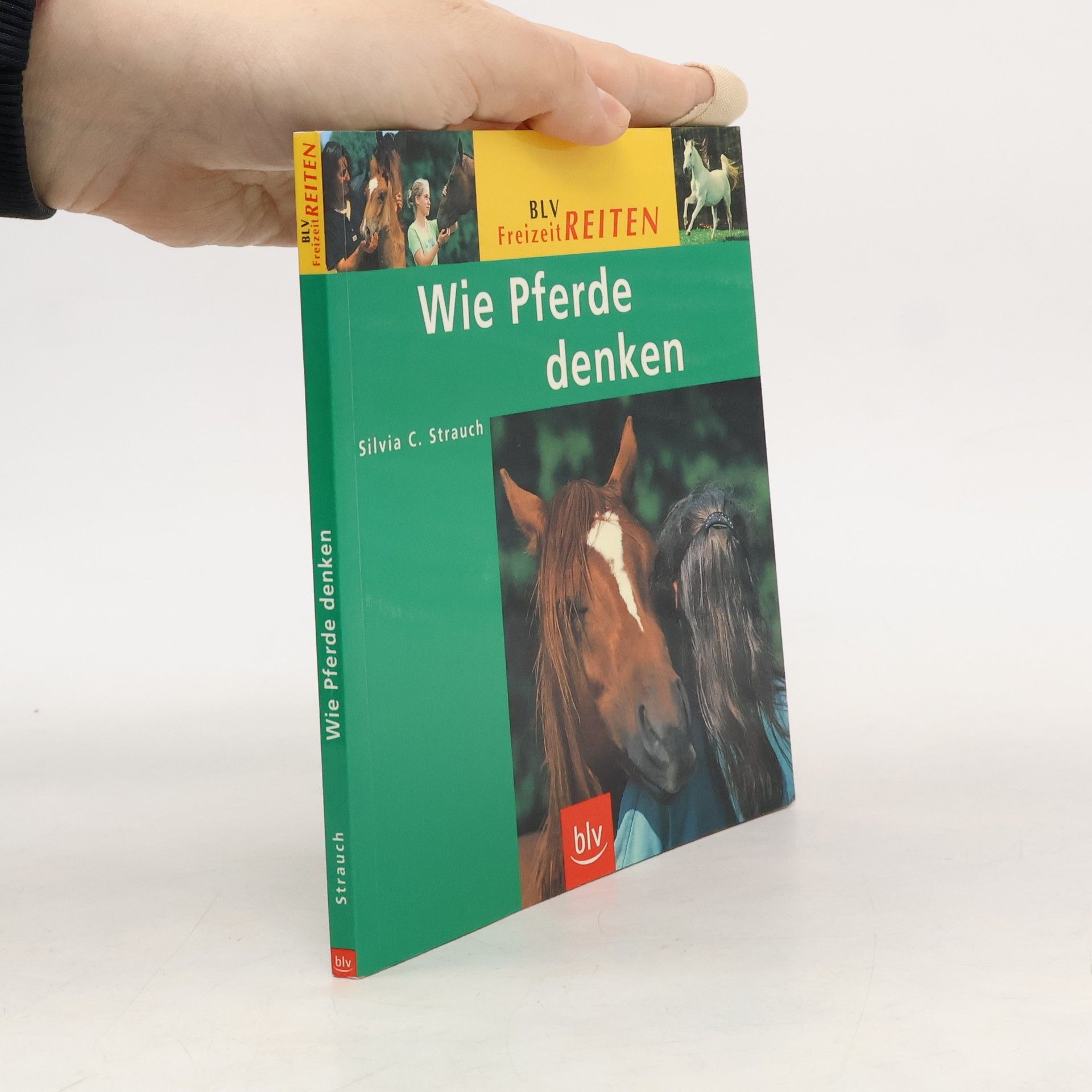 Wie Pferde denken