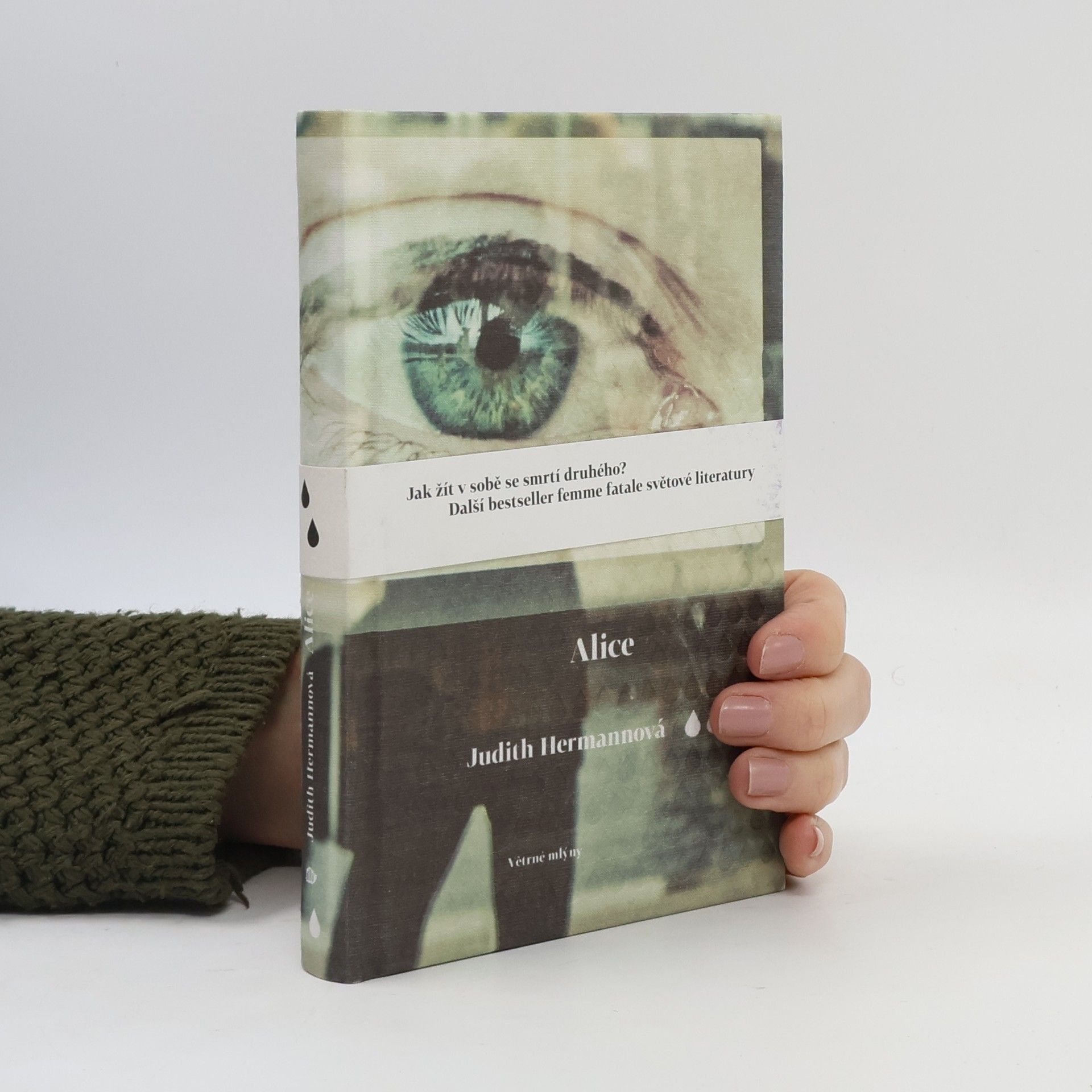 Judith Hermann Alice