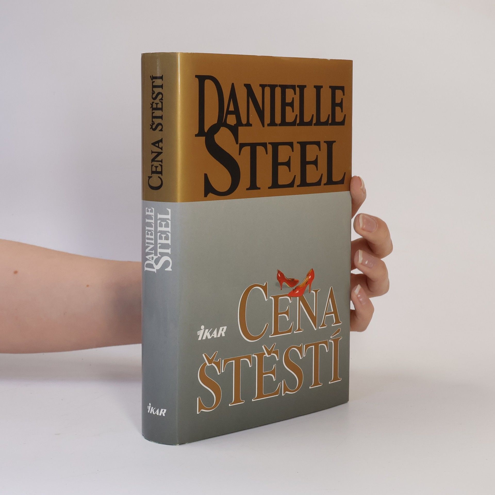 Danielle Steel Cena štěstí