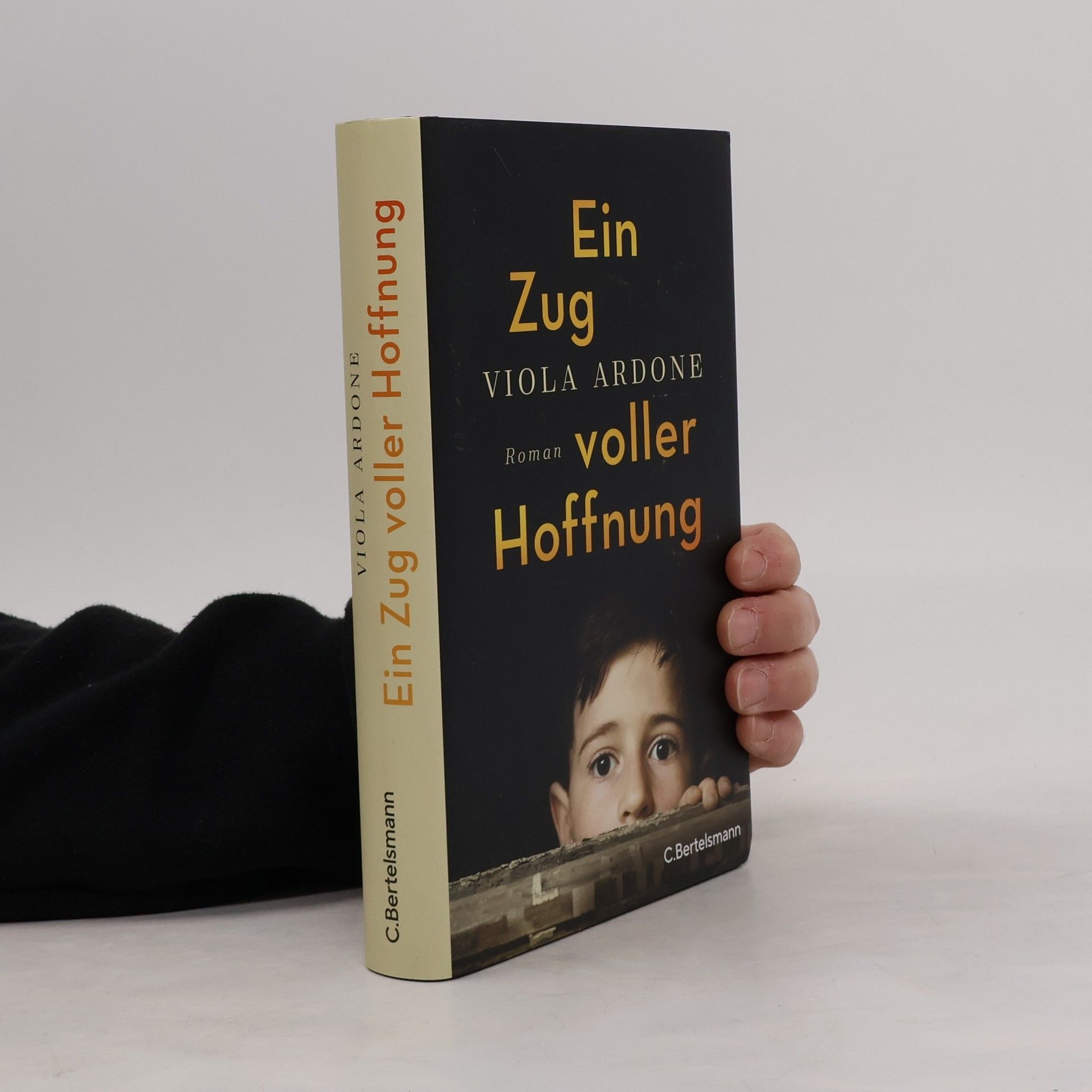 Viola Ardone Ein Zug voller Hoffnung