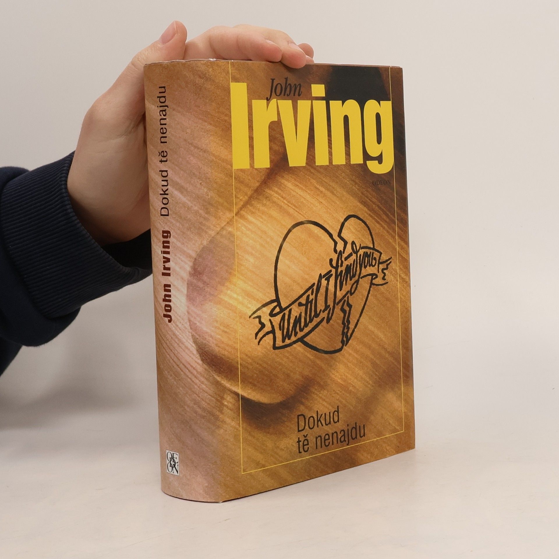John Irving Dokud tě nenajdu