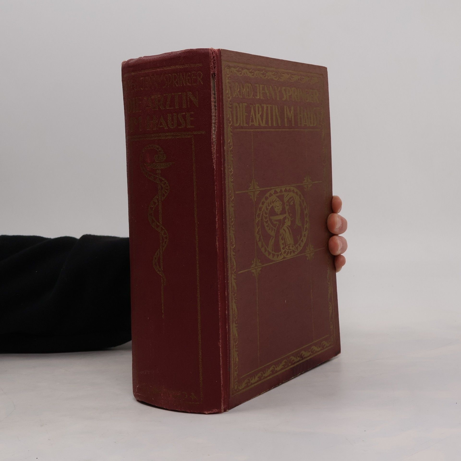 Jenny Springer Die Aerztin im Hause