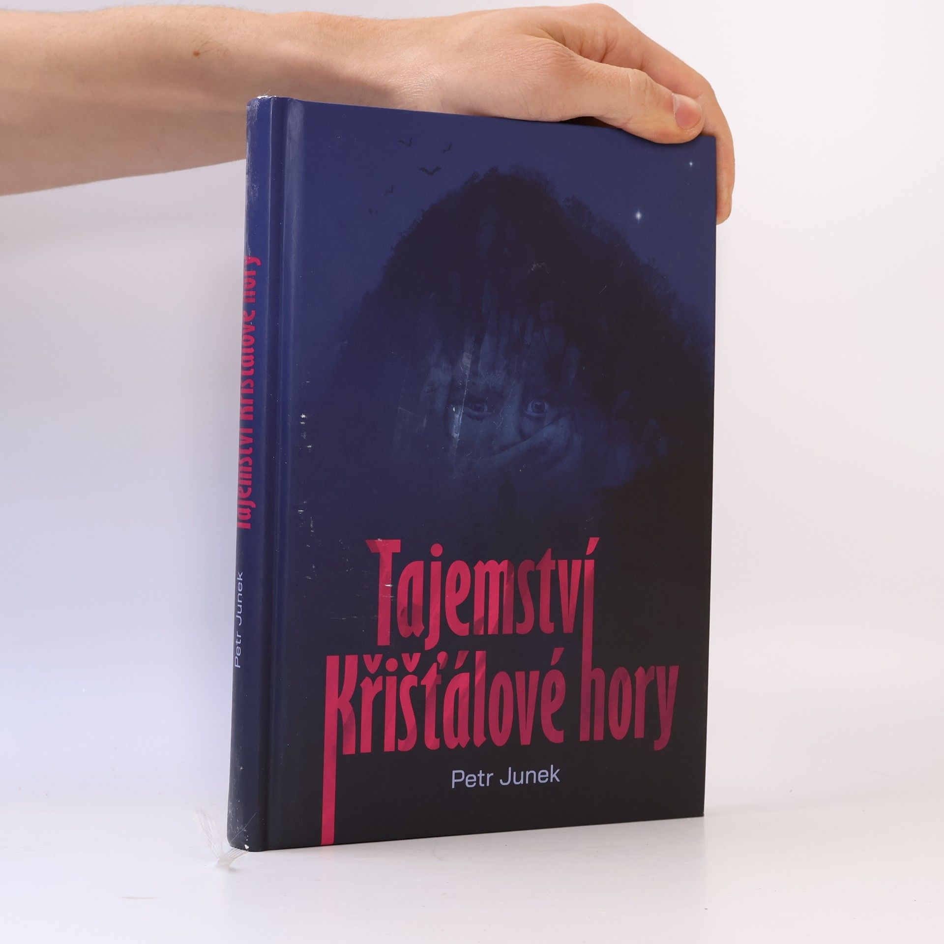 Petr Junek Tajemství křišťálové hory