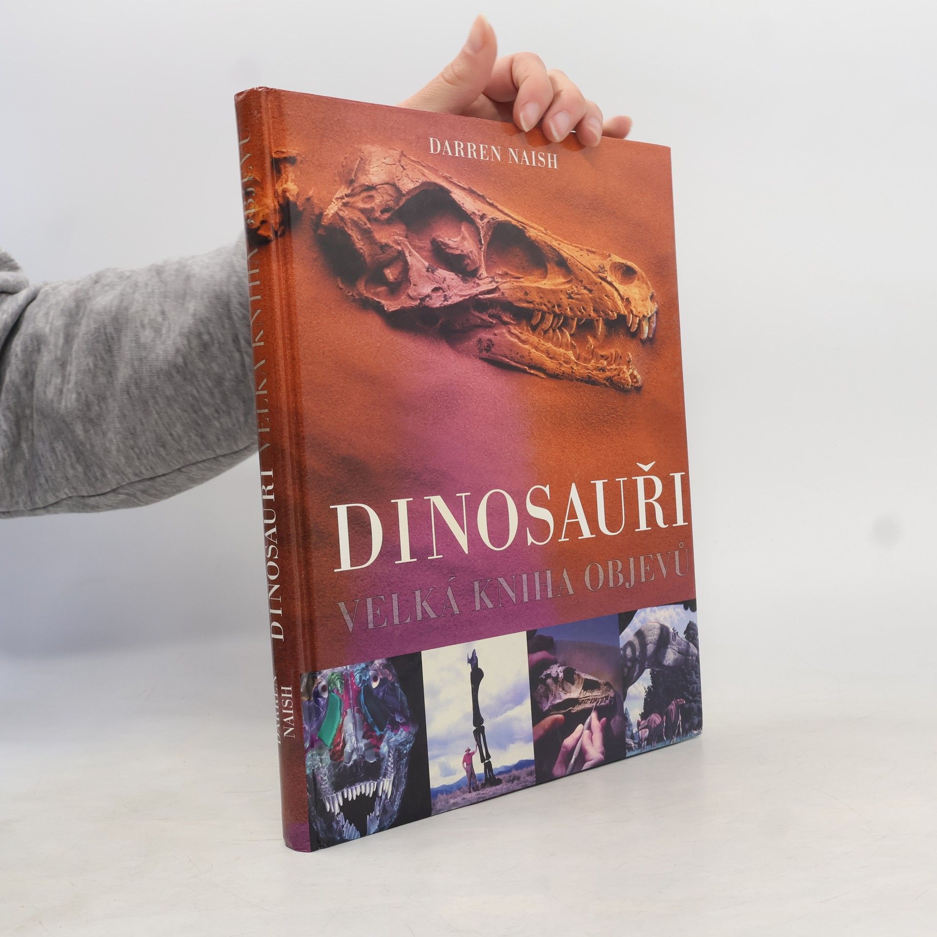 Darren Naish Dinosauři: Velká kniha objevů
