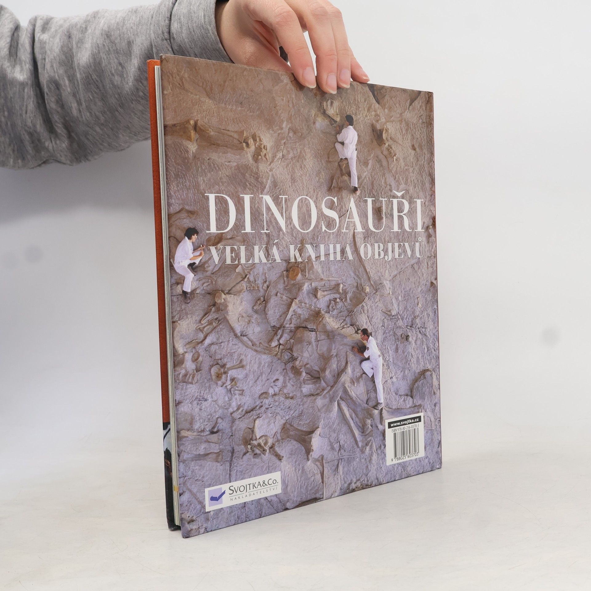Darren Naish Dinosauři: Velká kniha objevů