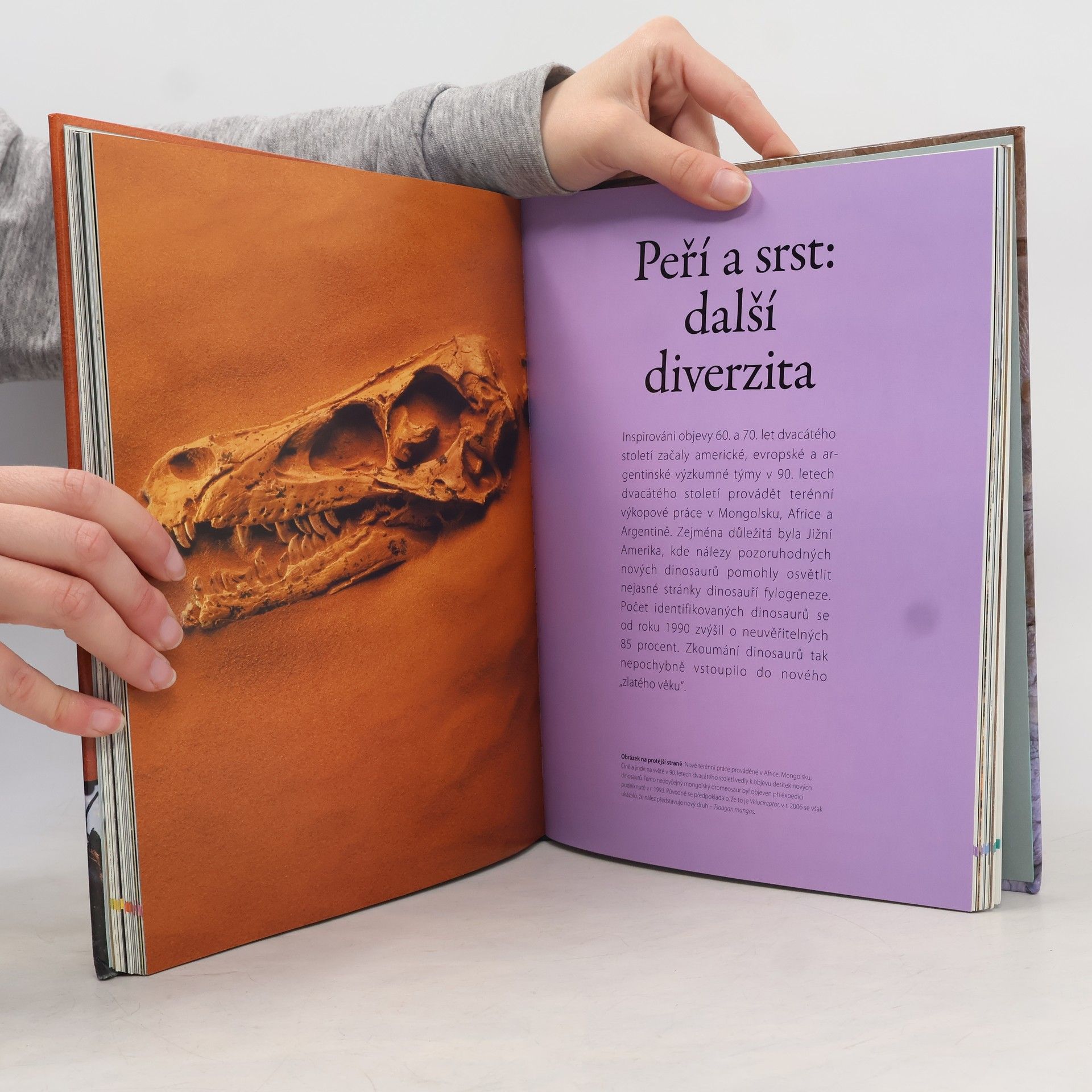 Darren Naish Dinosauři: Velká kniha objevů