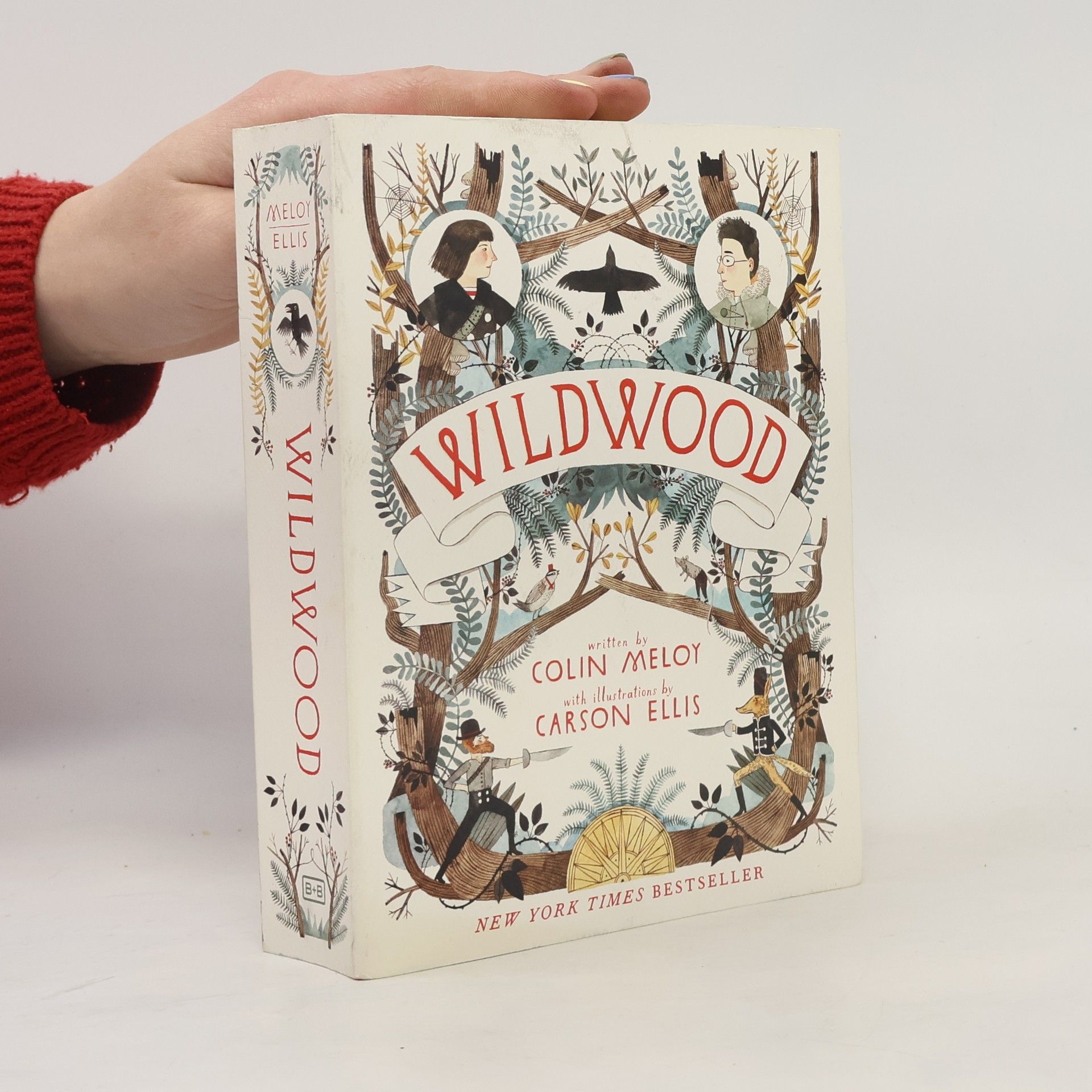 Colin Meloy Wildwood