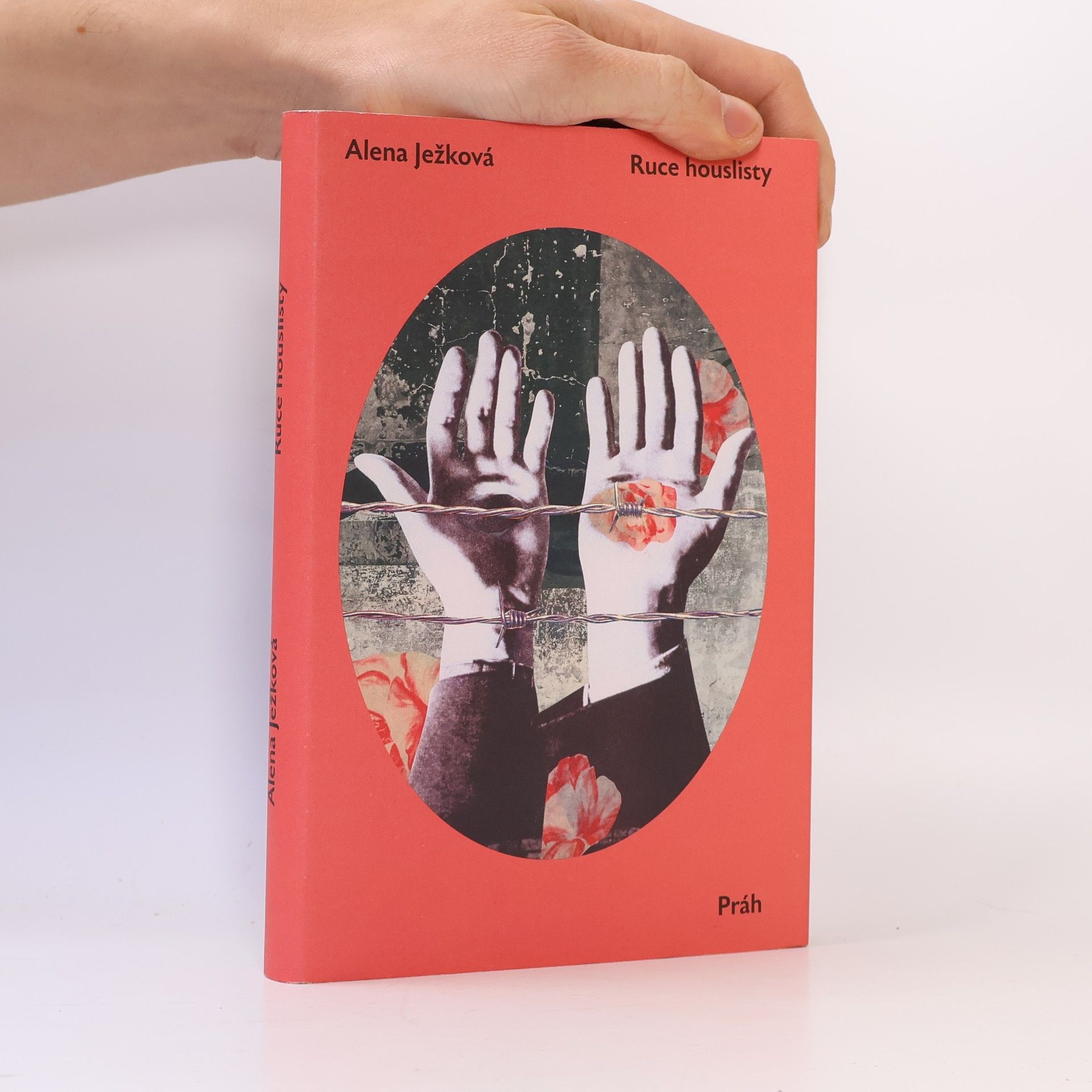 Alena Ježková Ruce houslisty