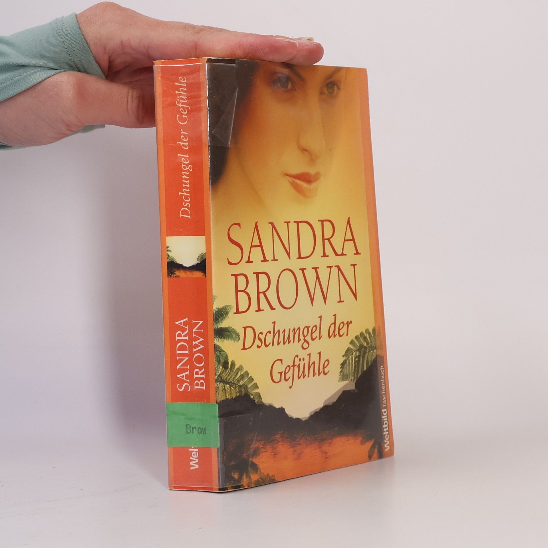 Sandra Brown Dschungel der Gefühle