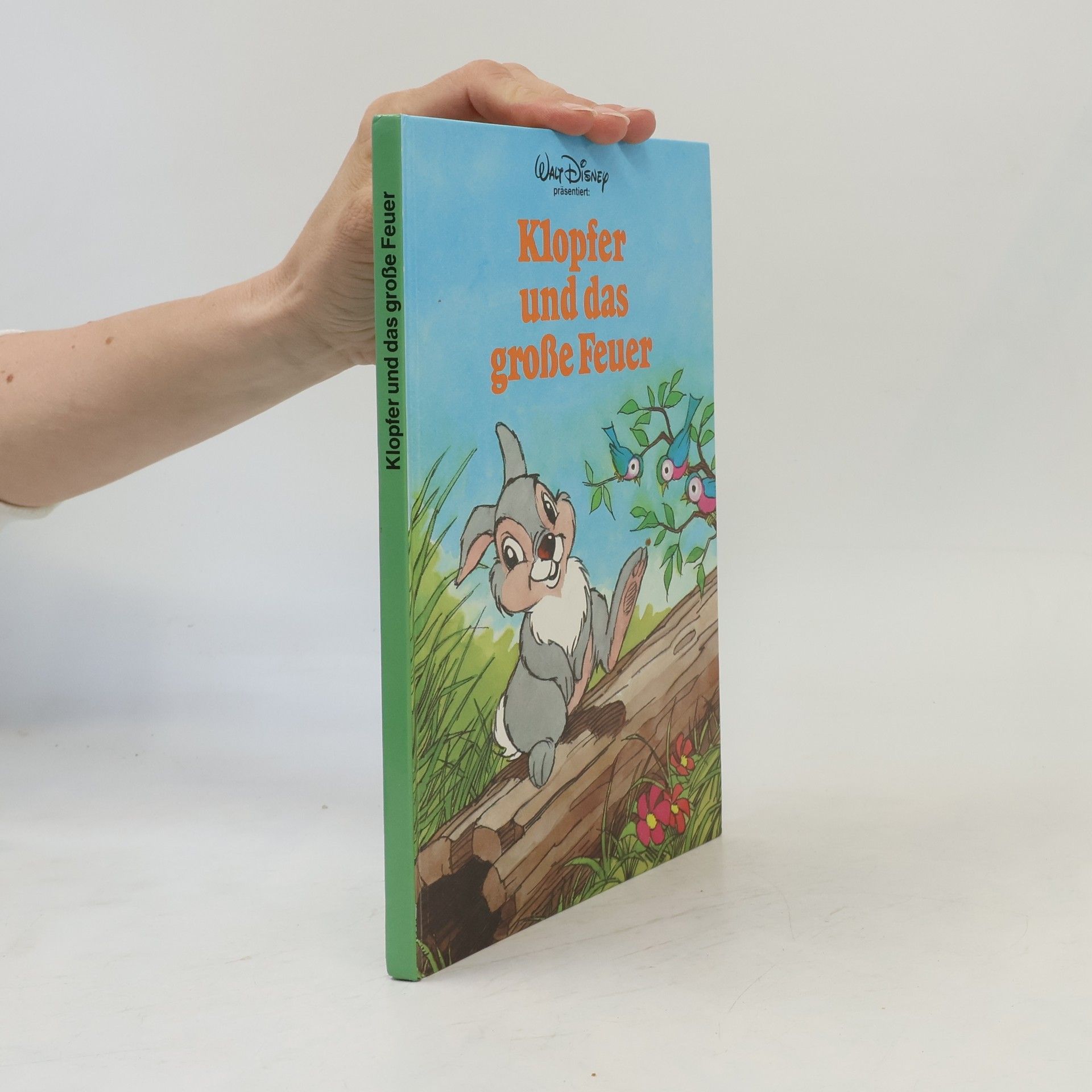 Walt Disney Klopfer und das gorsse Feuer