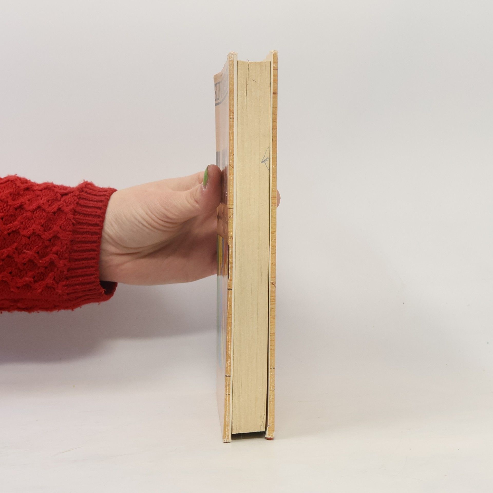 Silvio Valseschini Il libro dei test