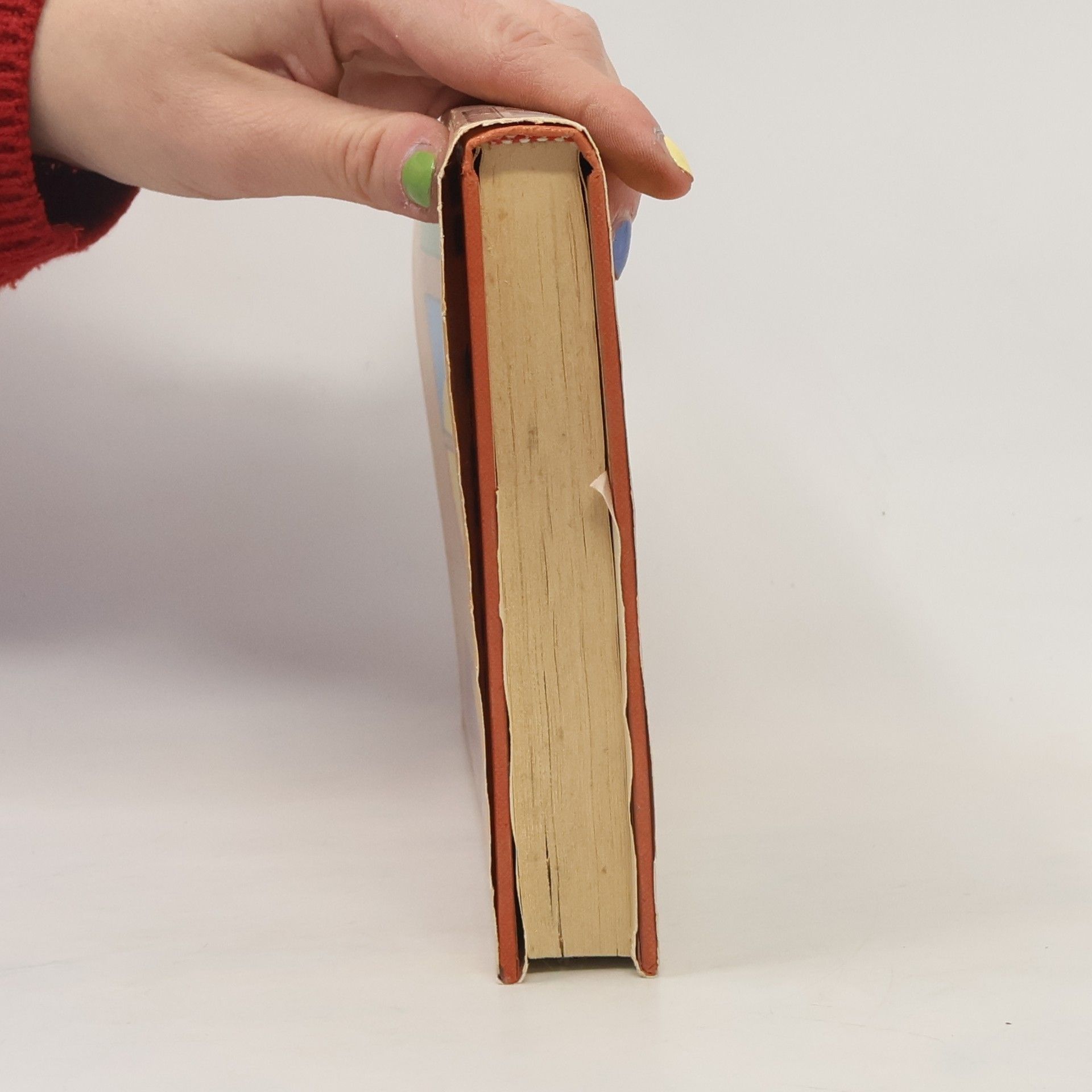 Silvio Valseschini Il libro dei test