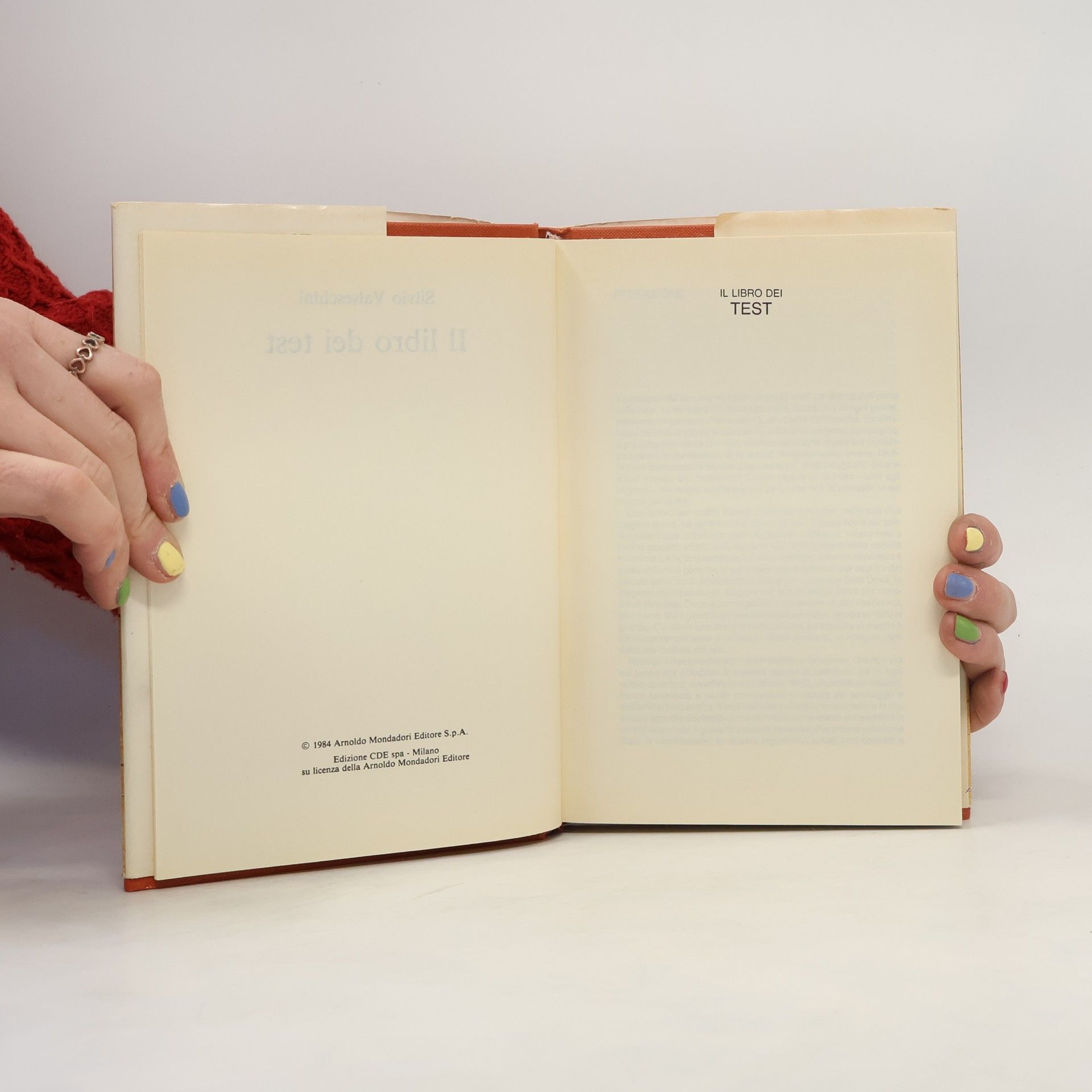 Silvio Valseschini Il libro dei test