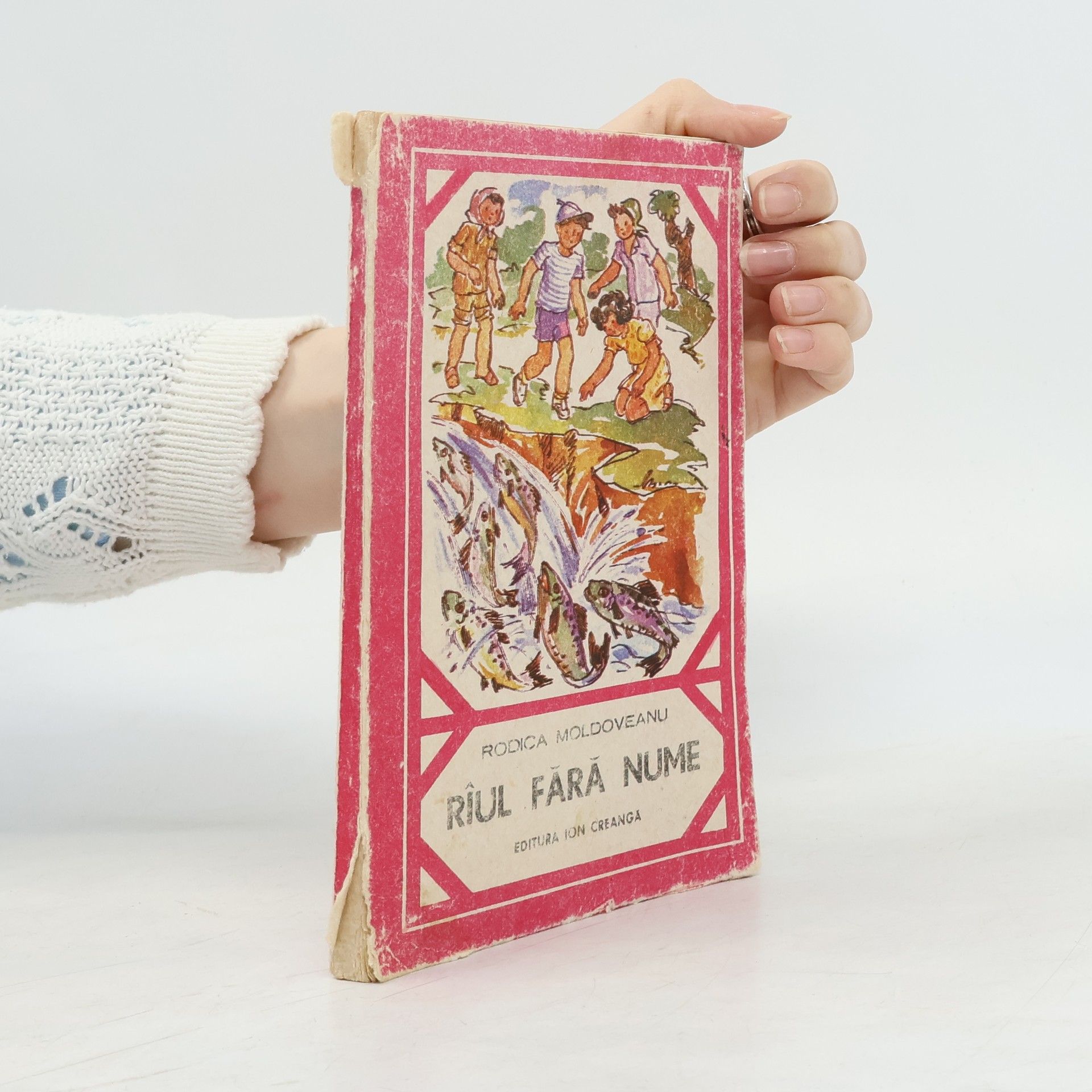 Rodica Moldoveanu Rîul fara nume