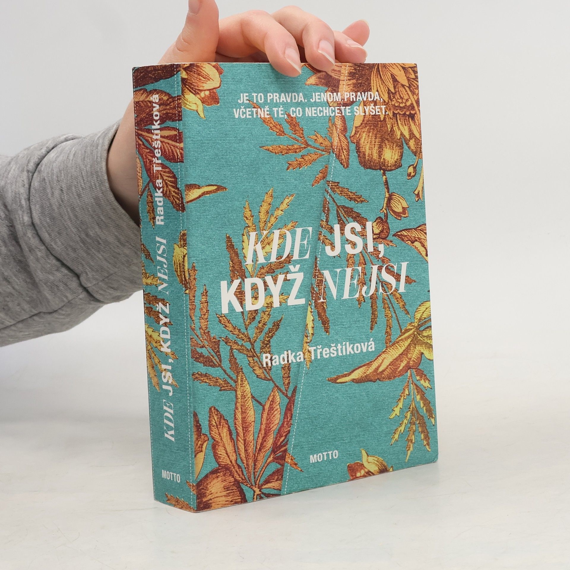 Radka Třeštíková Kde jsi, když nejsi