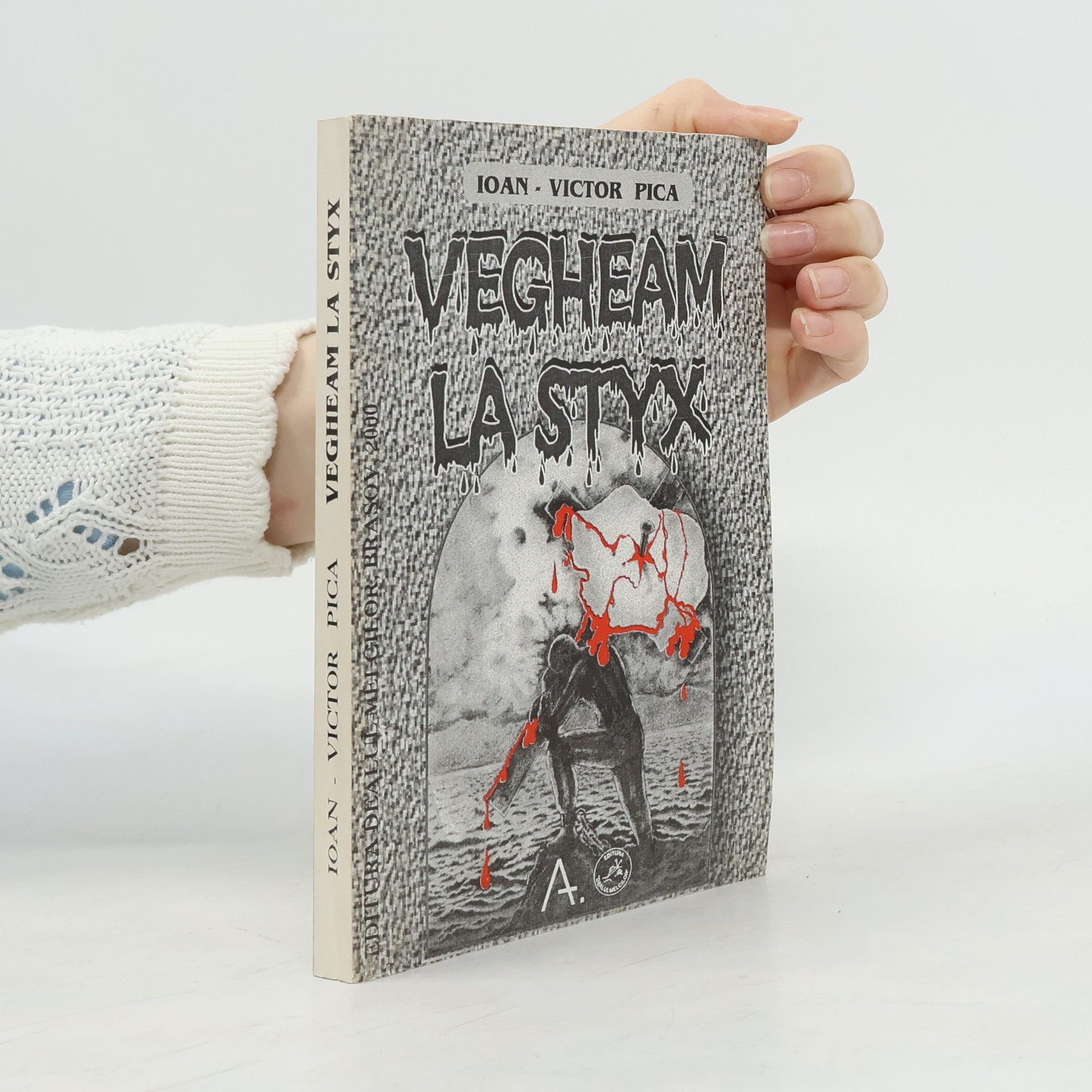 Victor Ioan Pica Vegheam la Styx