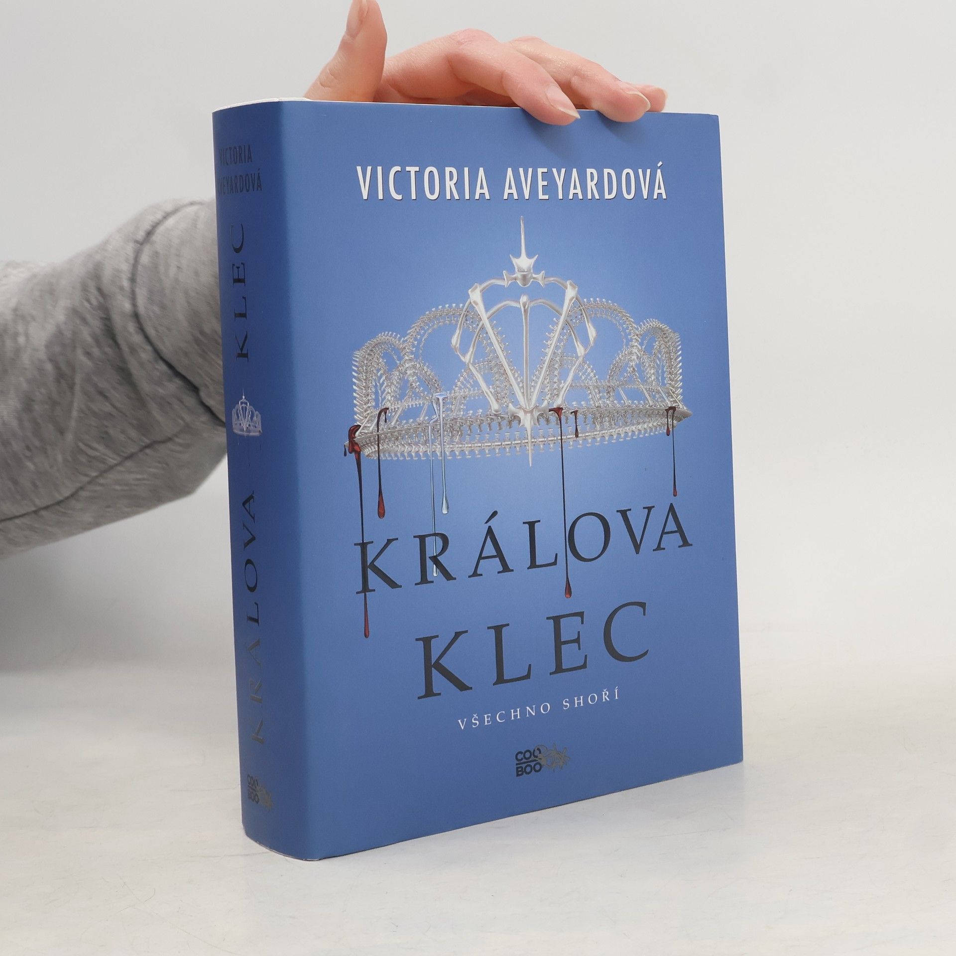 Victoria Aveyard Králova klec