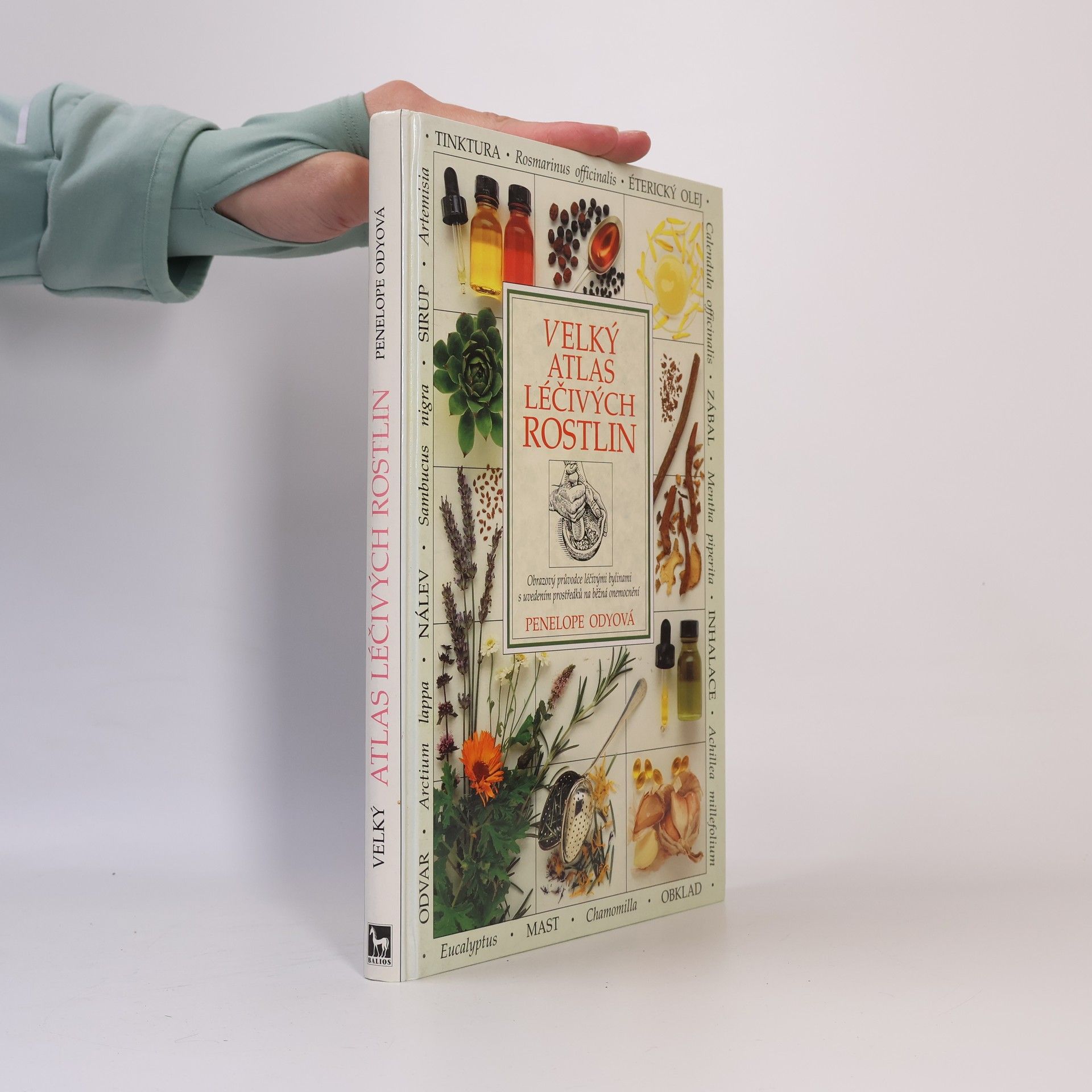 Penelope Ody Velký atlas léčivých rostlin