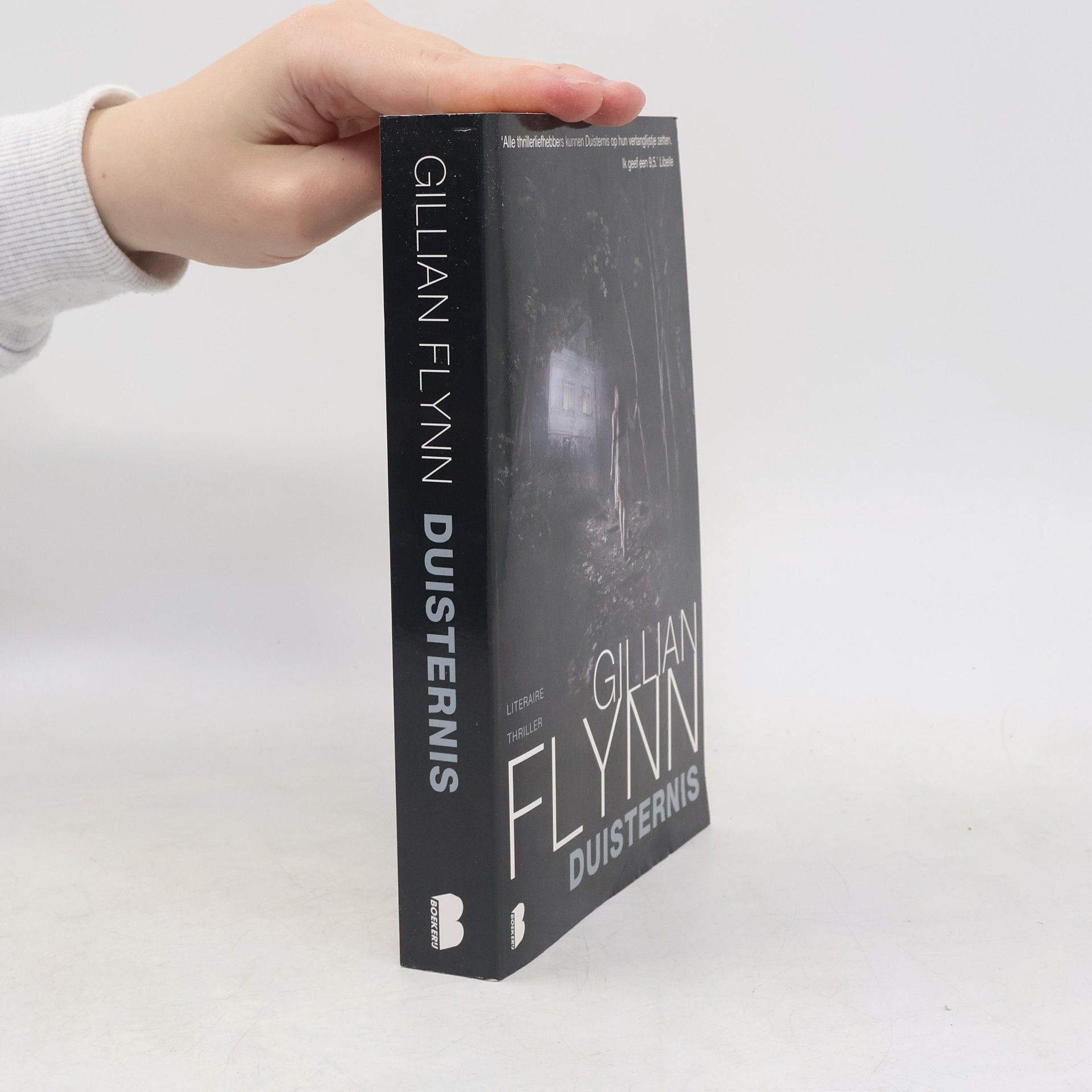 Gillian Flynn Duisternis