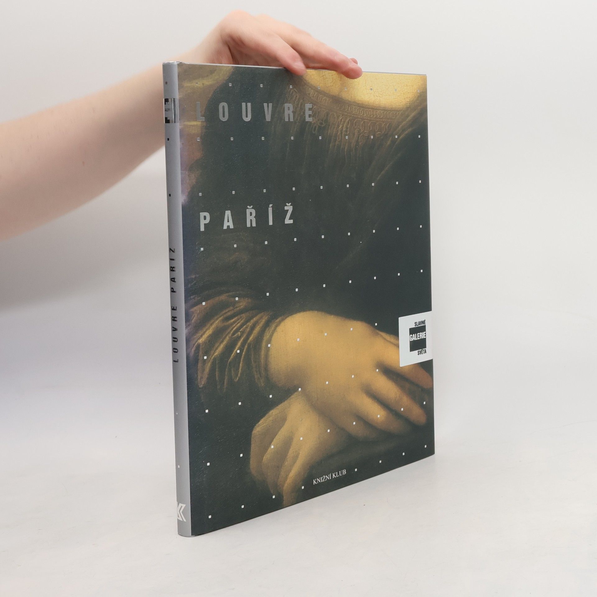 Alessandra Fregolent Slavné galerie světa. Louvre - Paříž