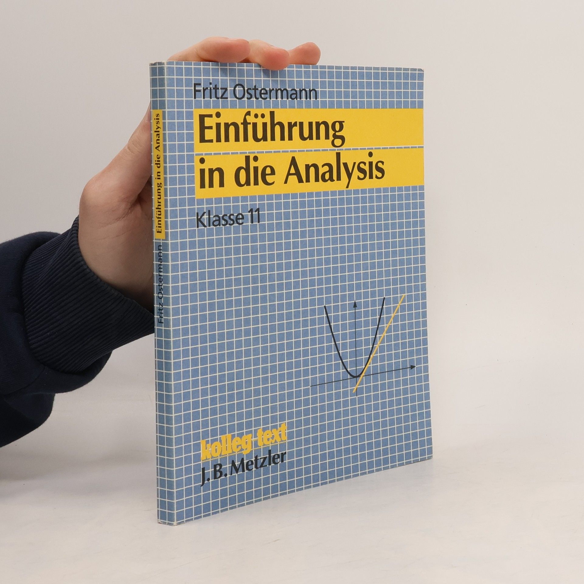 Fritz Ostermann Einführung in die Analysis