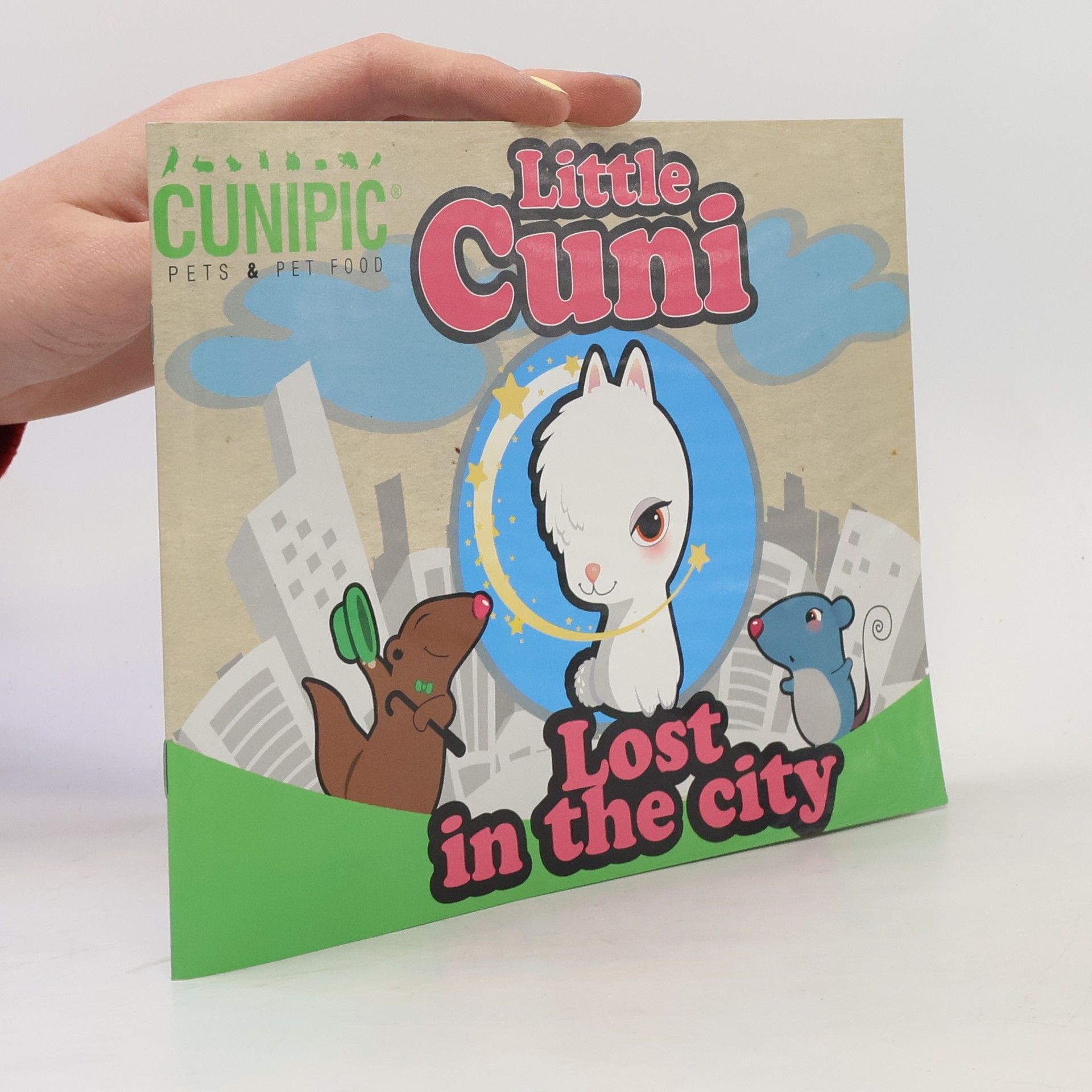 Autorenkollektiv Little Cuni. Lost in the City