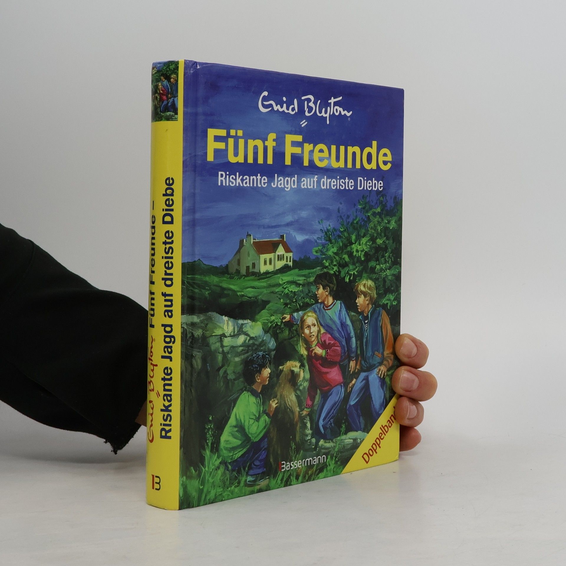 Fünf Freunde - riskante Jagd auf dreiste Diebe