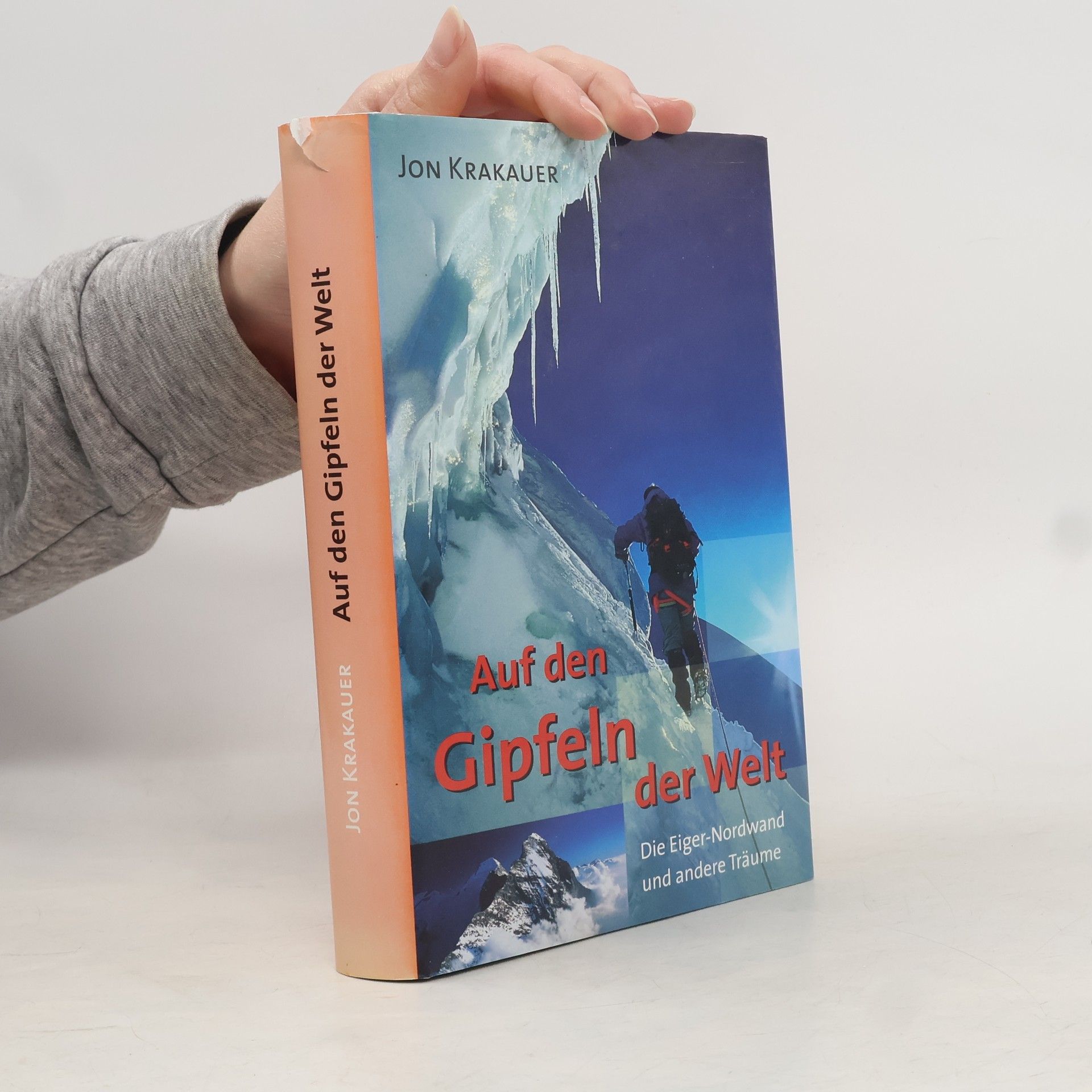 Auf den Gipfeln der Wilt