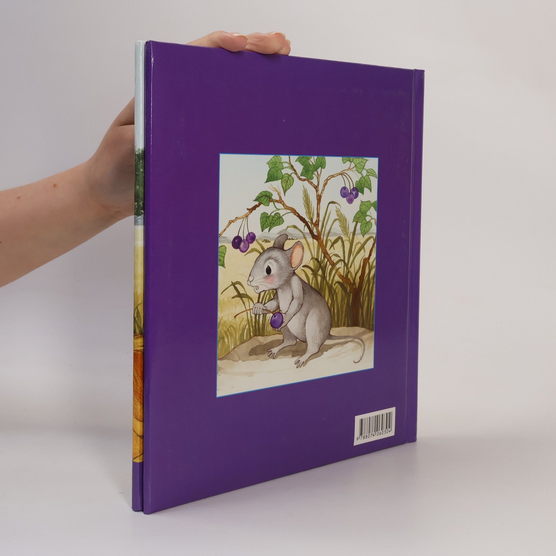 Collectif d'auteurs O lvu a myšce. Příběh o pomoci druhým