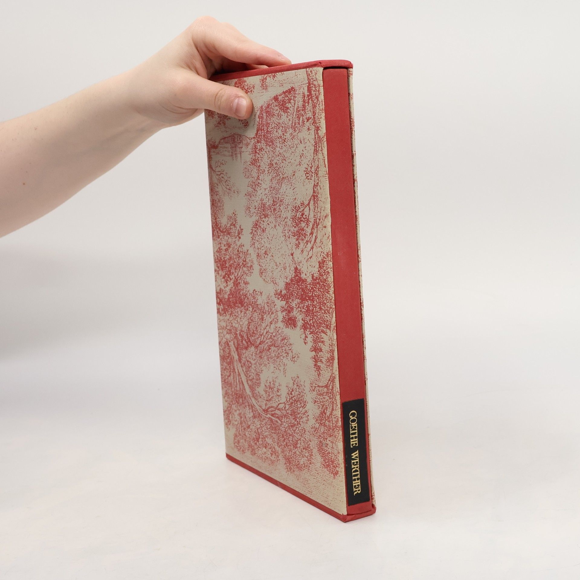 Johann Wolfgang von Goethe Werther