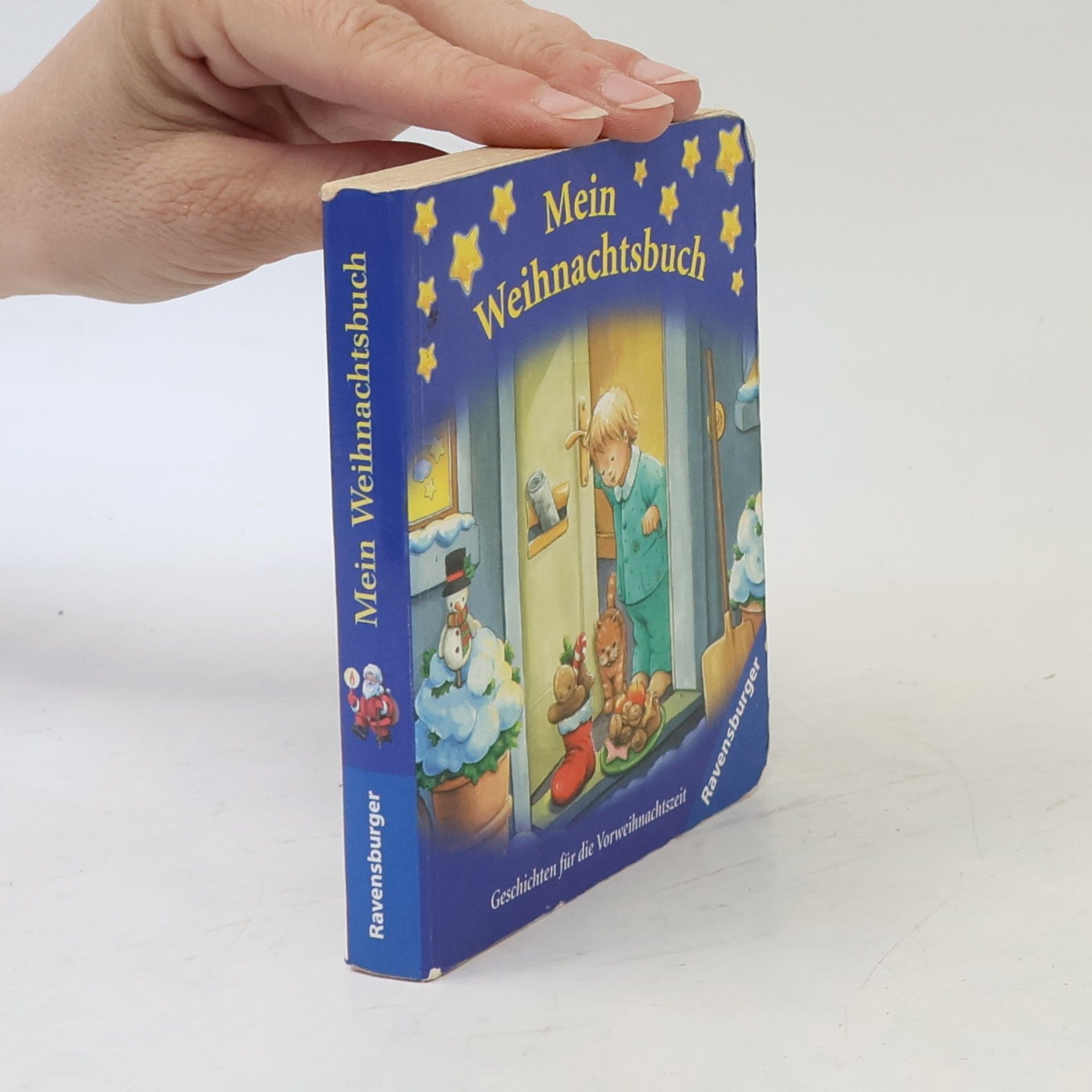 Various authors Mein Weihnachtsbuch