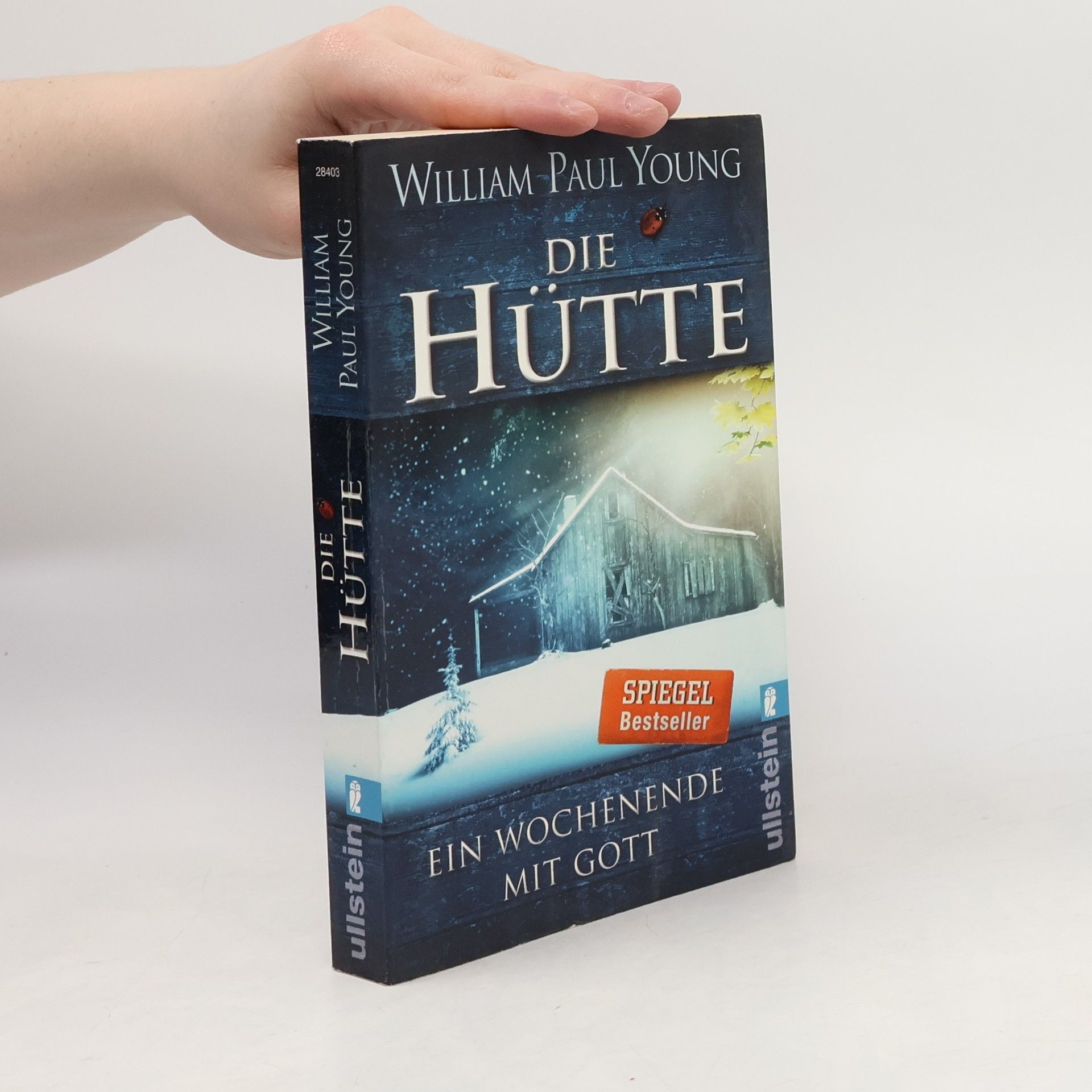 William P. Young Die Hütte