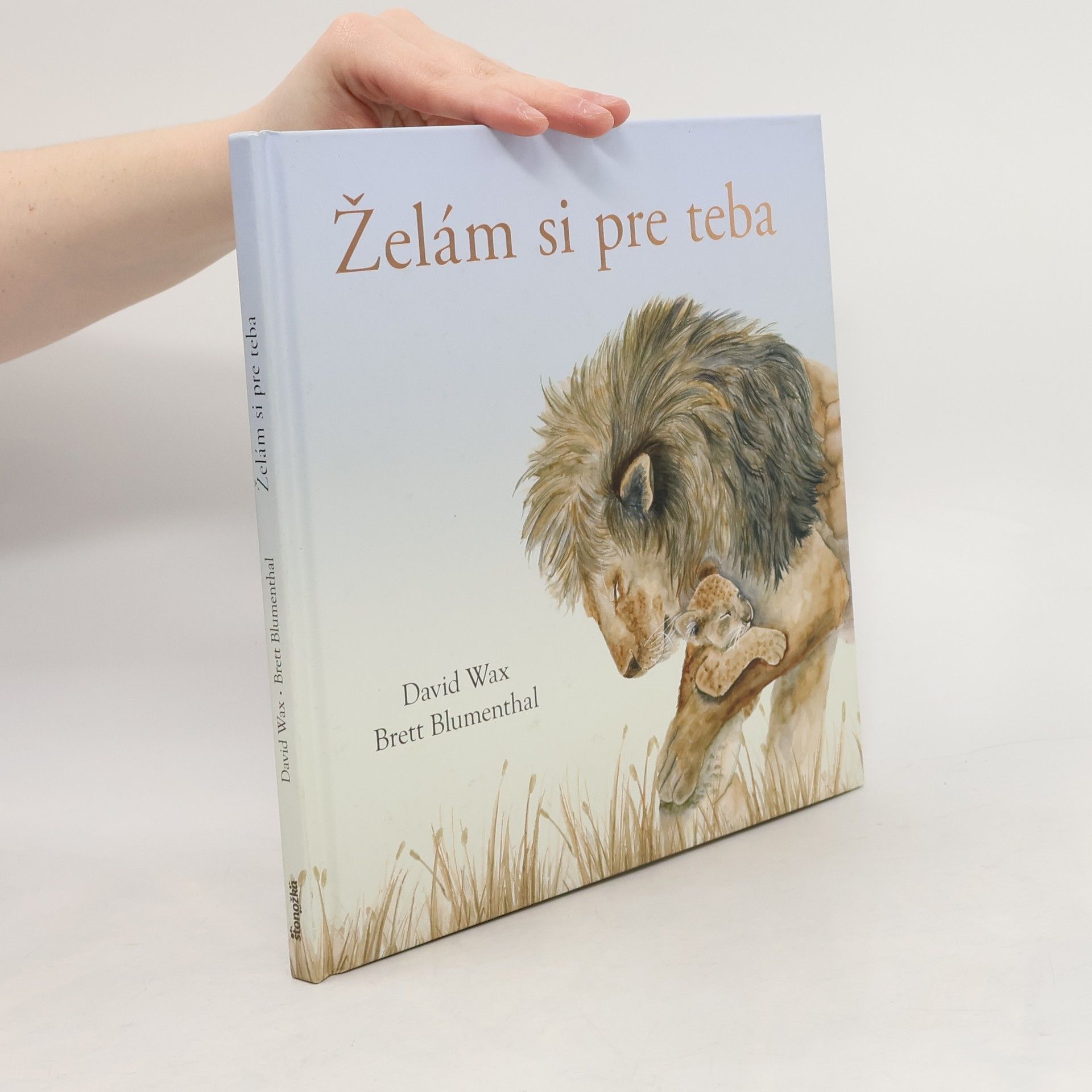 David Wax Želám si pre teba