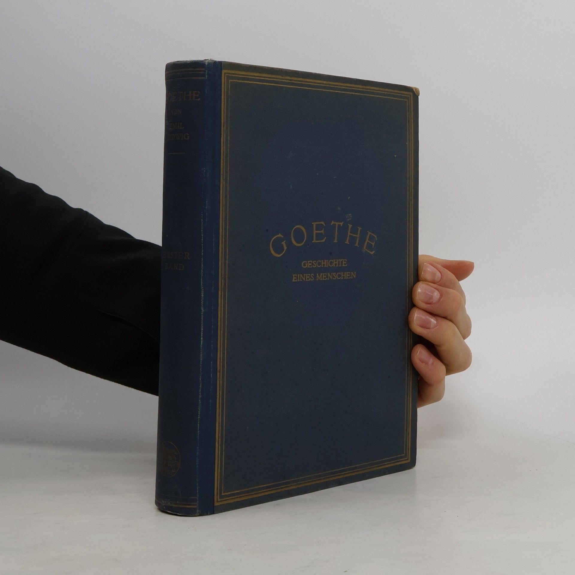 Goethe. Geschichte eines Menschen 1.