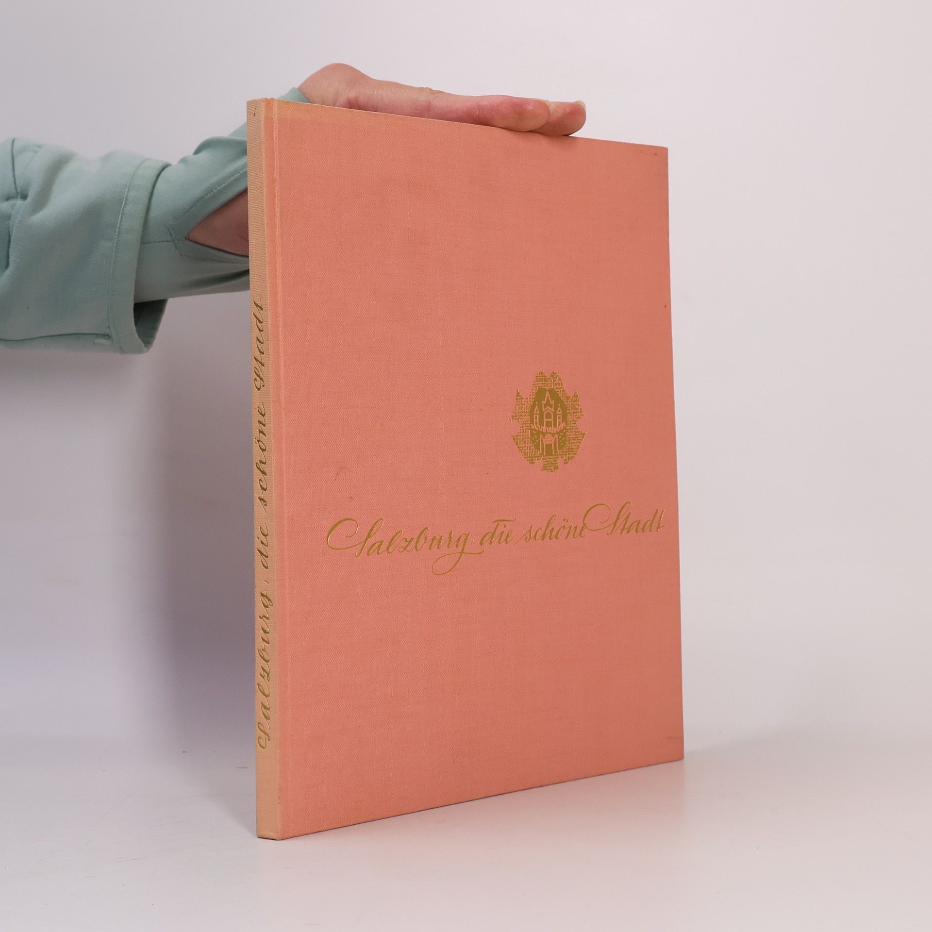 Wolfgang Schaffler Salzburg, die schöne Stadt