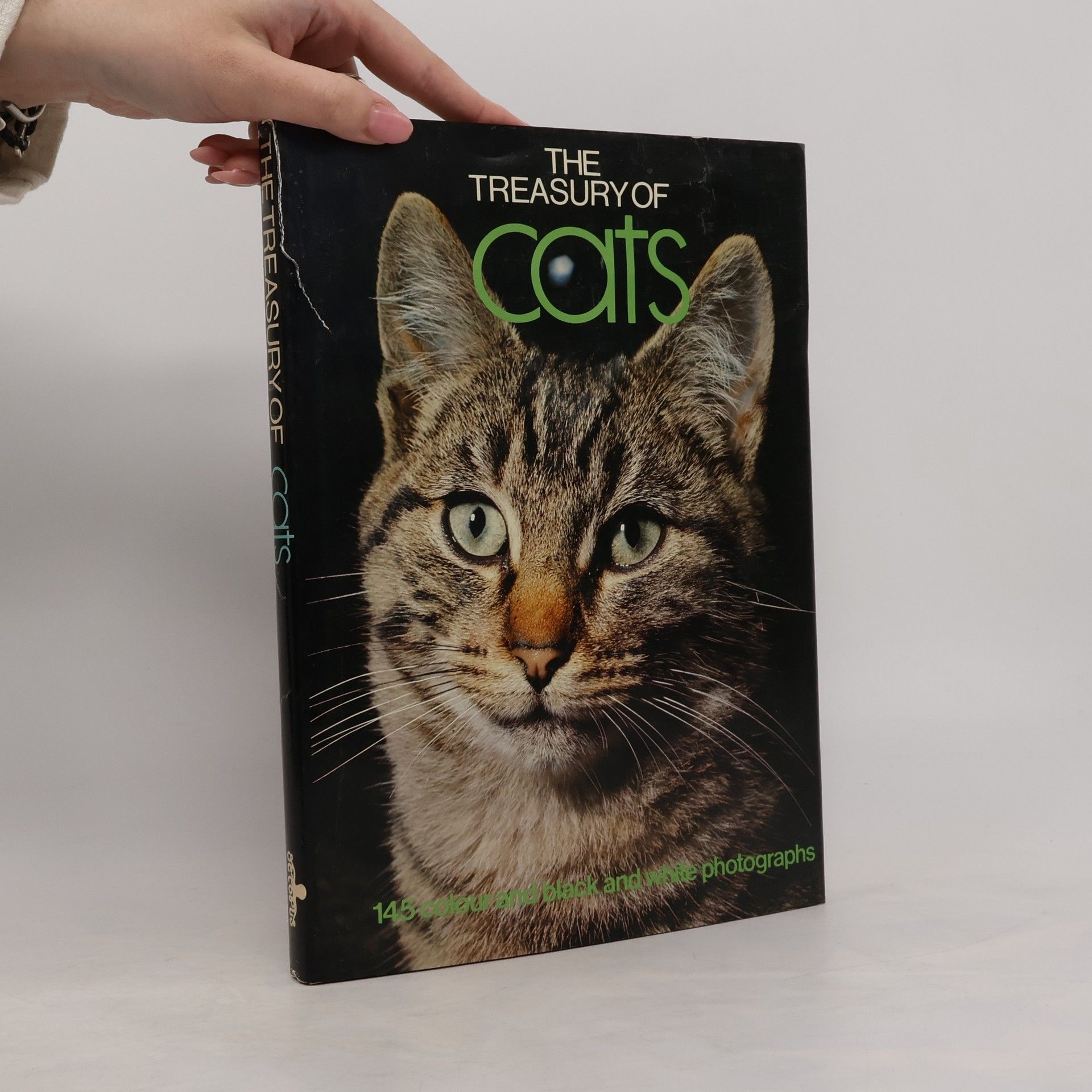Various authors The Treasury of Cats