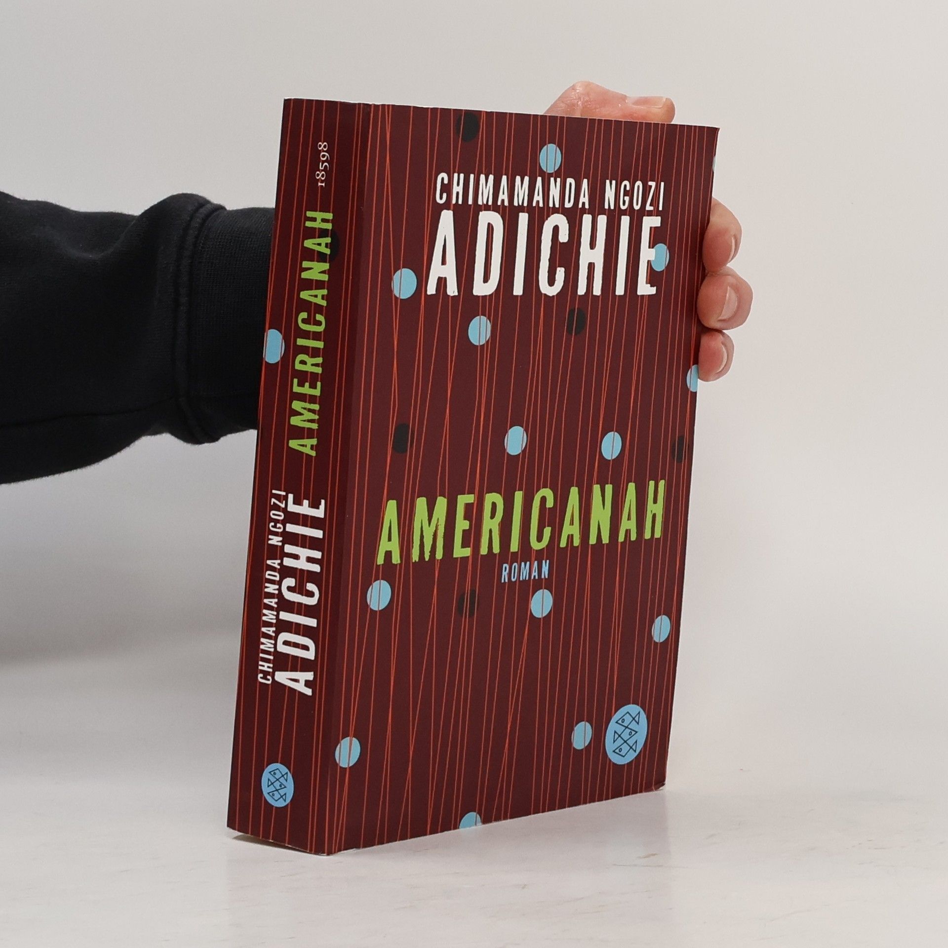 Chimamanda Ngozi Adichie Americanah
