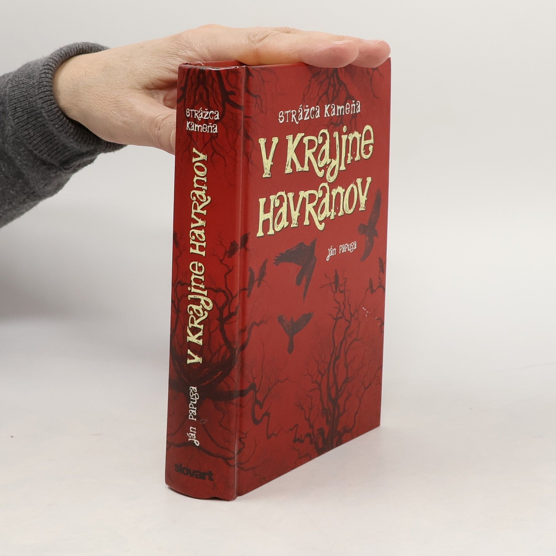 Ján Papuga V krajine havranov
