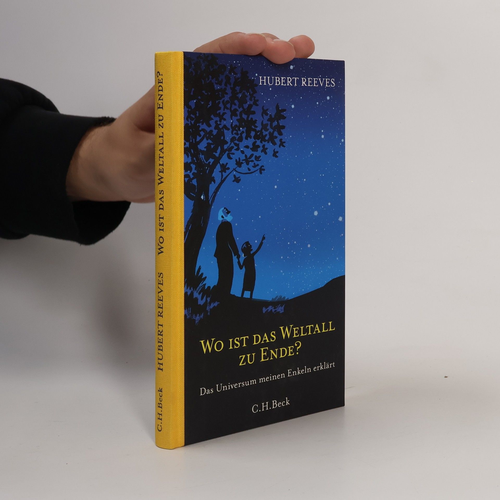 Hubert Reeves Wo ist das Weltall zu Ende?