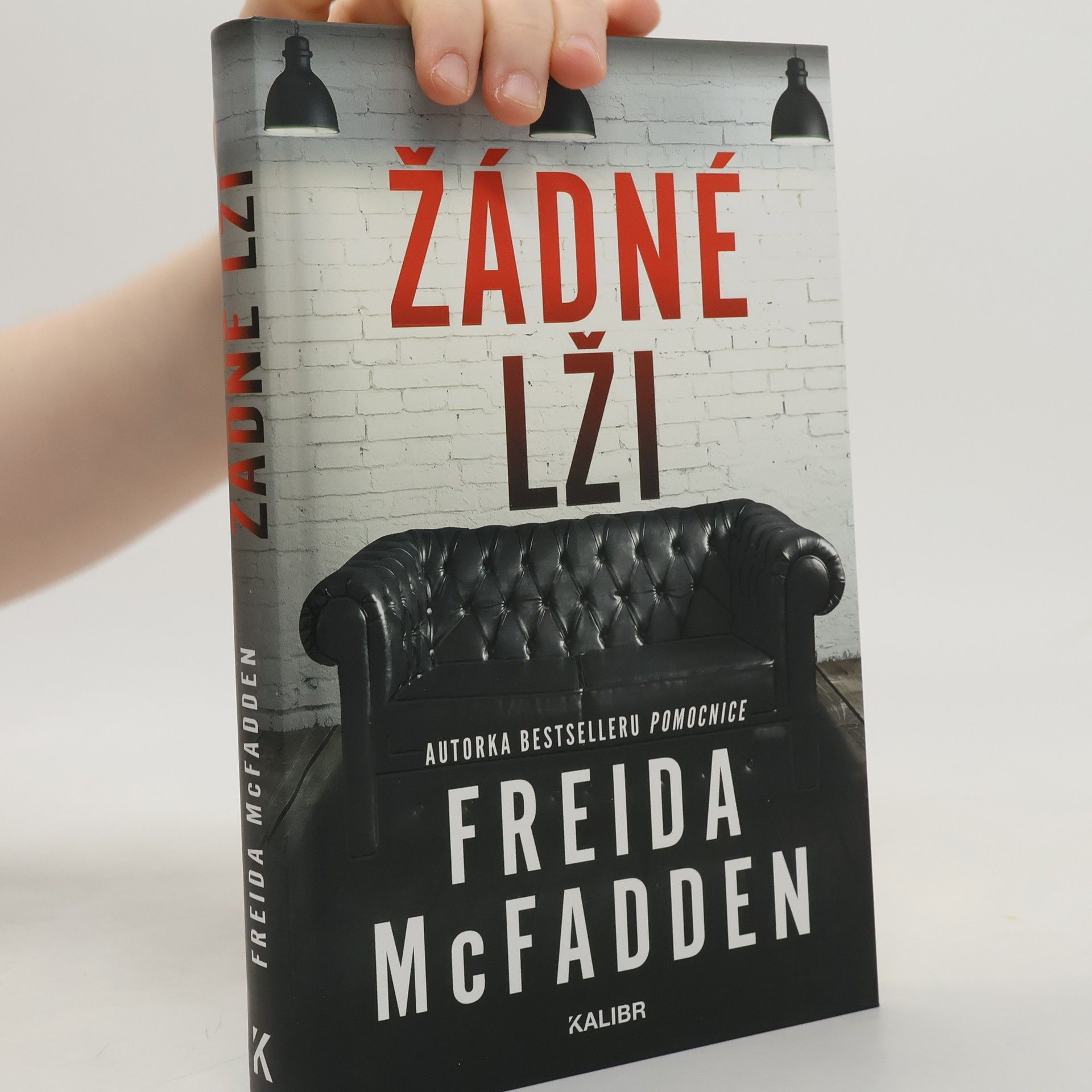 Freida McFadden Žádné lži