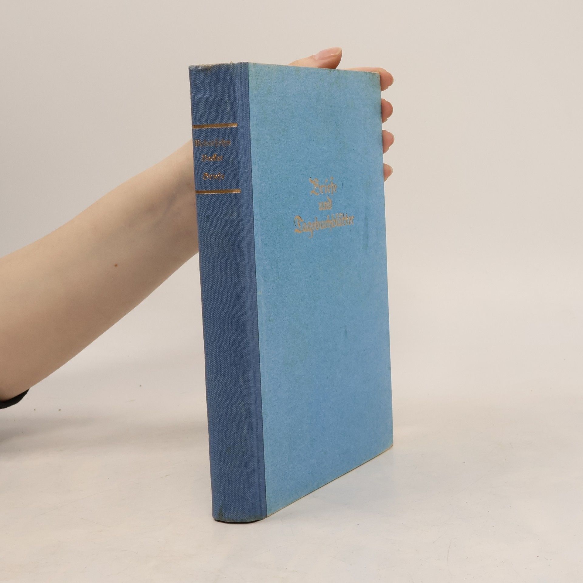 Paula Modersohn-Becker Briefe und Tagebuchblätte