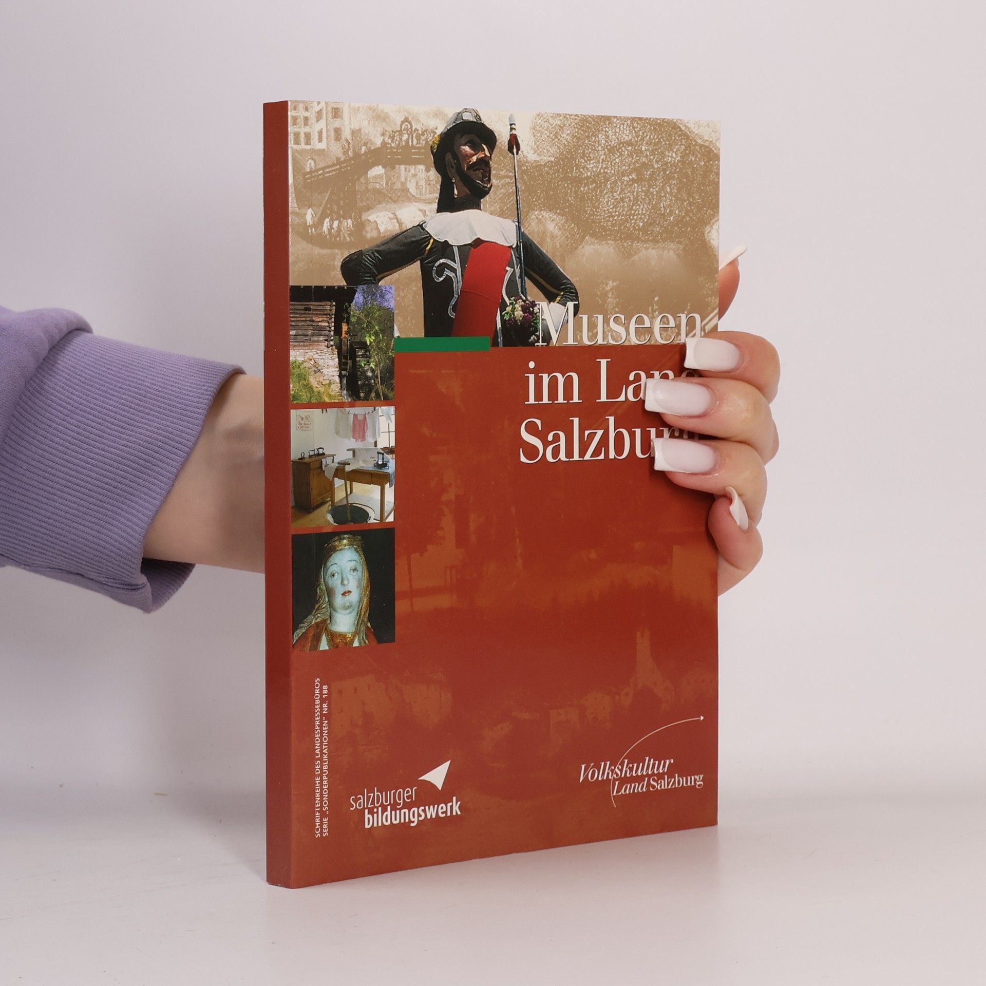 Collectif d'auteurs Museen im Land Salzburg