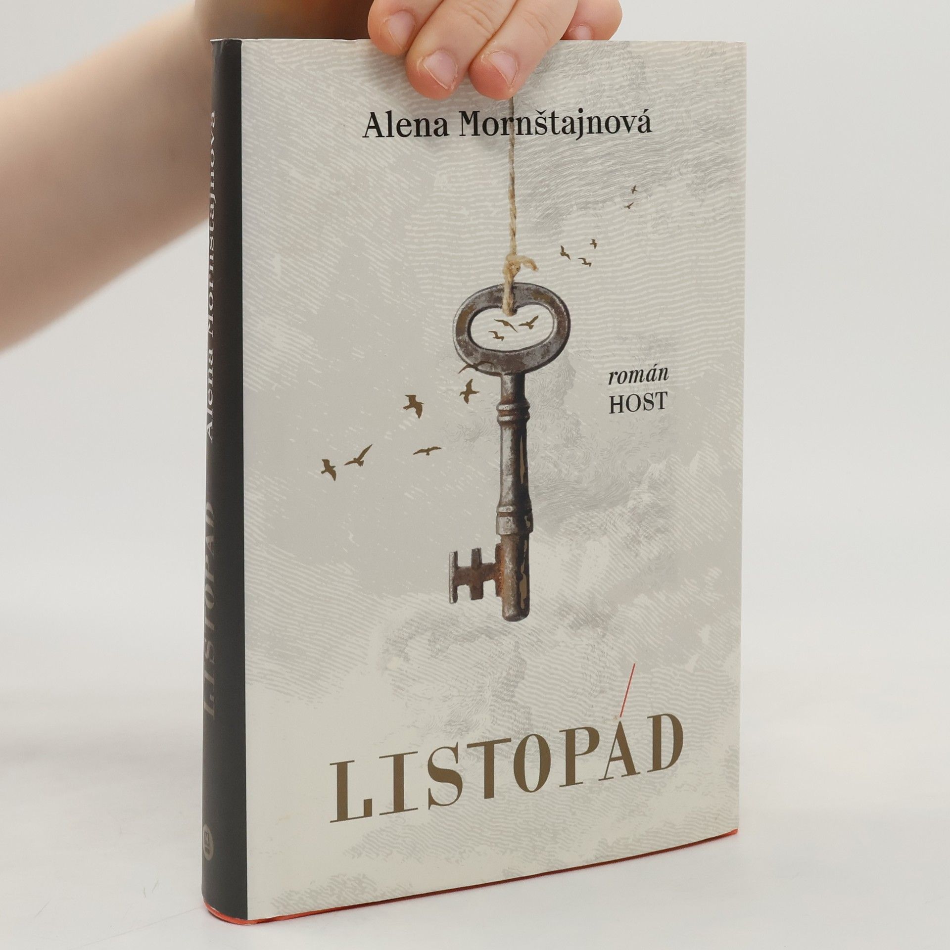 Alena Mornštajnová Listopád