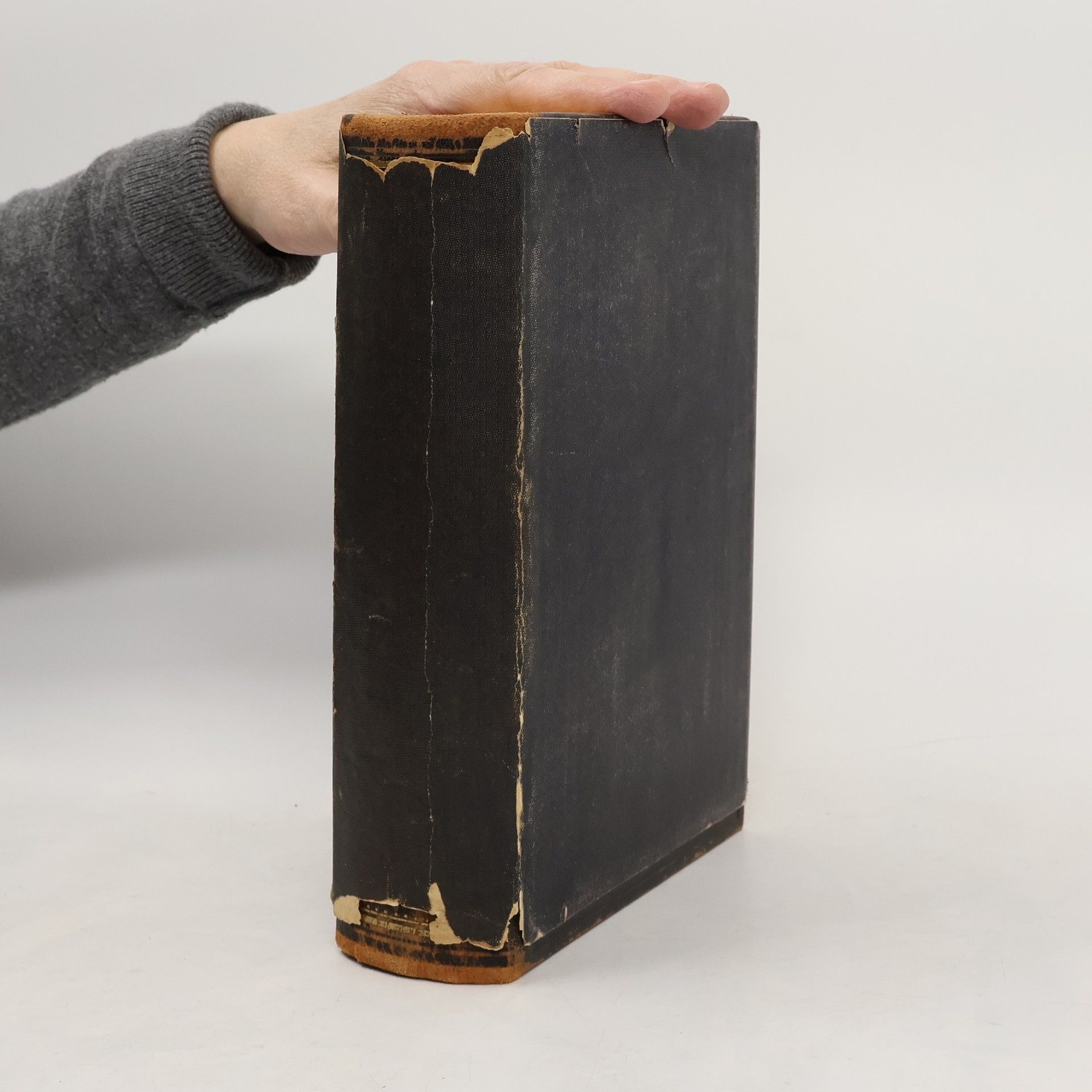 Kolektiv autorů Dem christlichen Ehepaar zur Feier ihrer goldenen Hochzeit