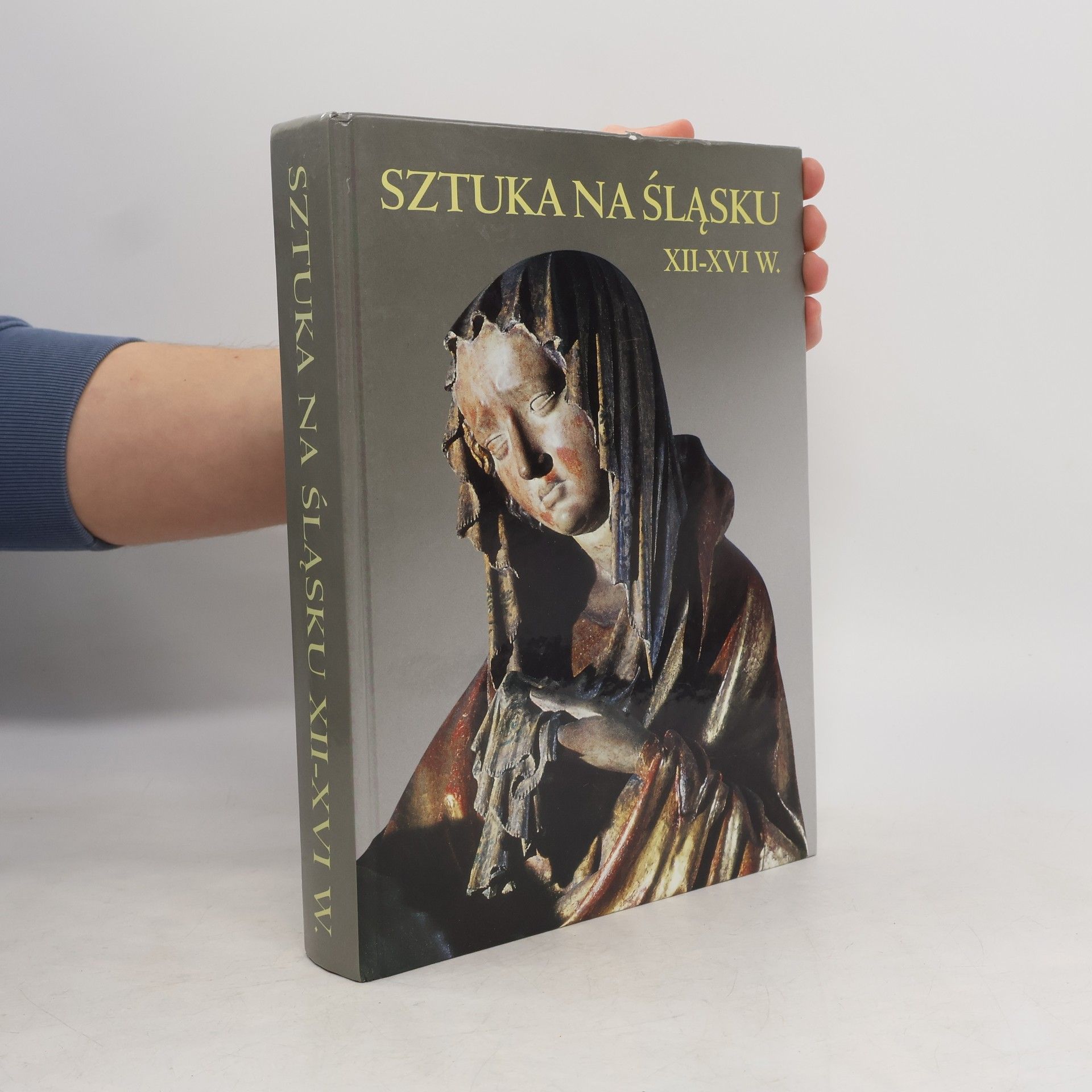 Anna Ziomecka Katalogi Zbiorów Muzeum Narodowego we Wrocławiu: Sztuka na Śląsku XII-XVI w.