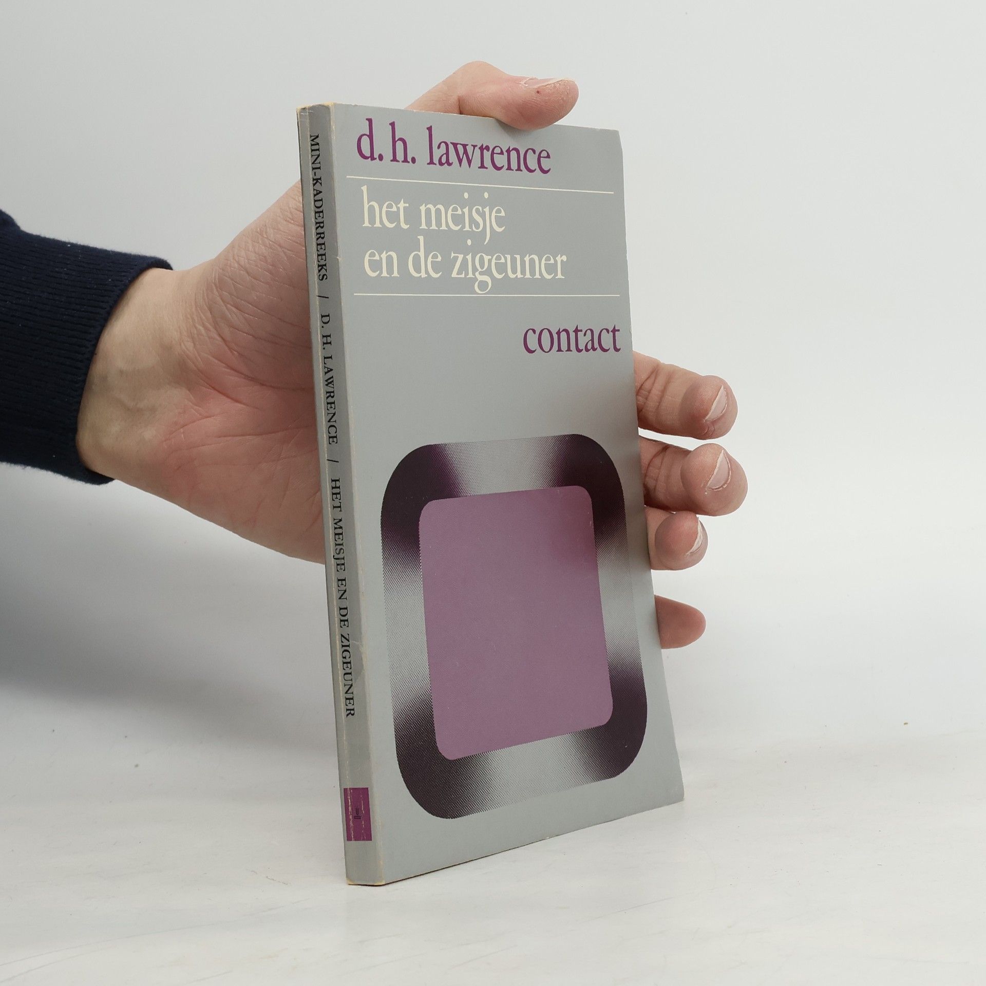 M. Mok Mini-kaderreeks: Het meisje en de zigeuner