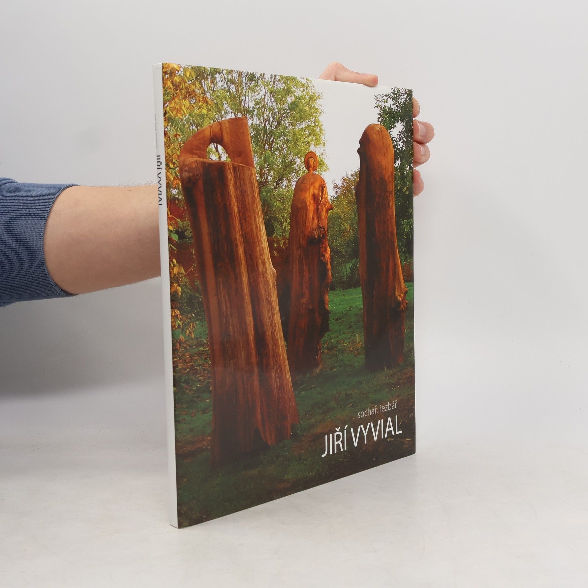 Jiří Vyvial Jiří Vyvial. Sochař, řezbář