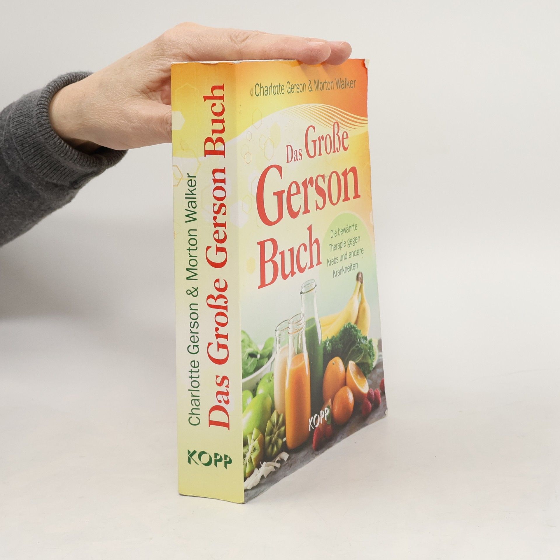 Charlotte Gerson Das große Gerson Buch