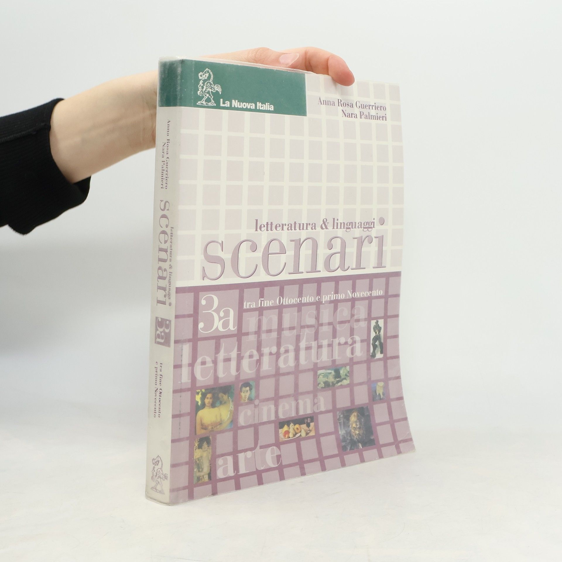 Nara Palmieri  Scenari 3a