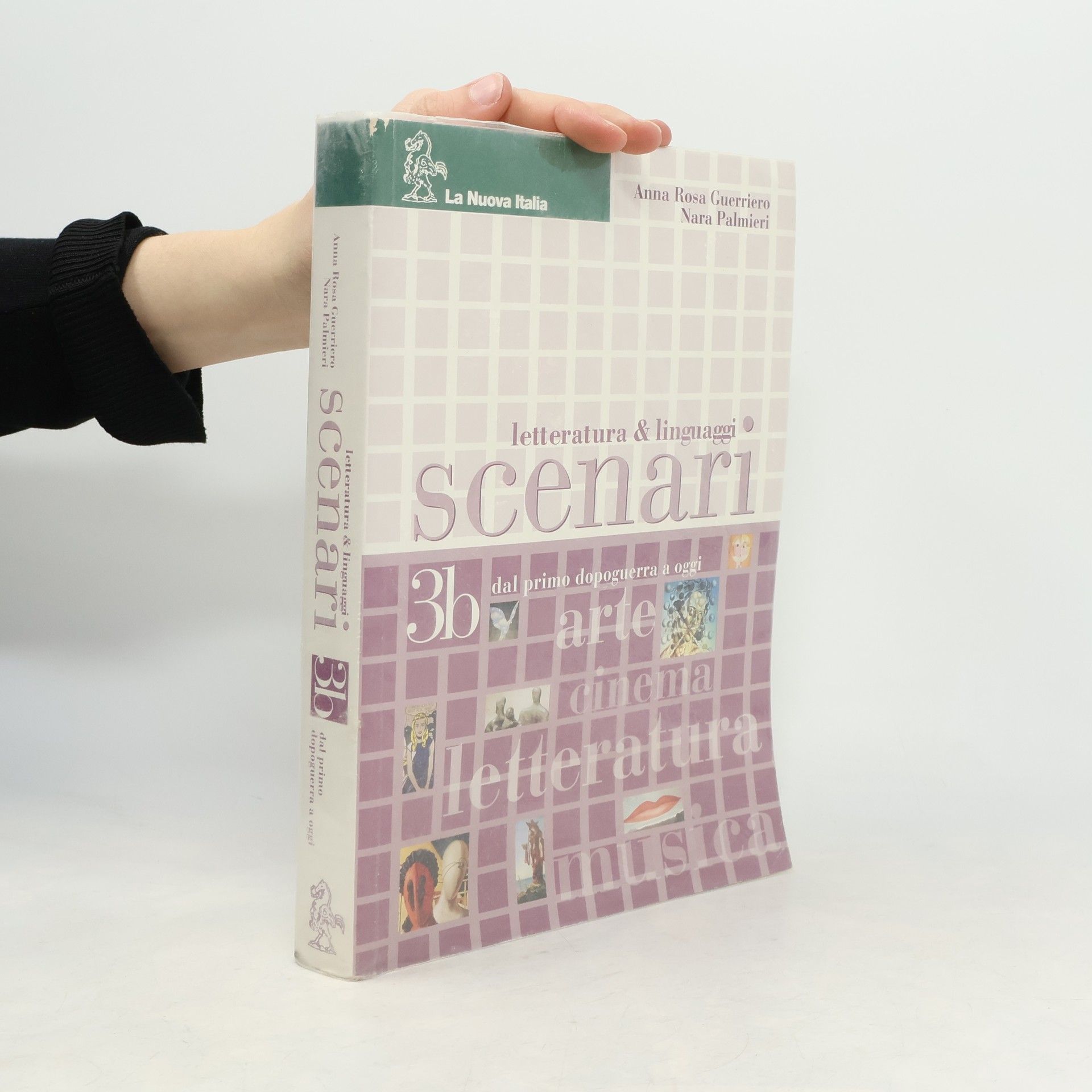 Anna Rosa Guerriero Scenari 3b